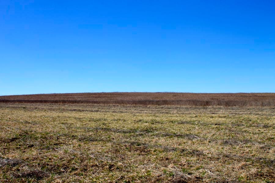 Cowboy Meadows Tract 9 photo 3