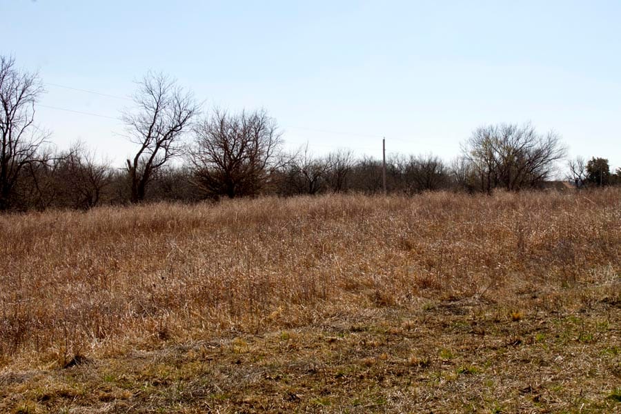 Cowboy Meadows Tract 9 photo 4
