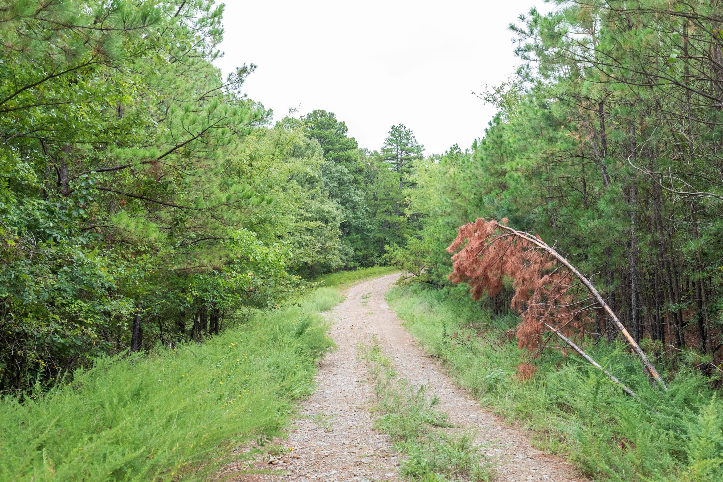 Stone Bridge Phase V Tract 329 photo 5