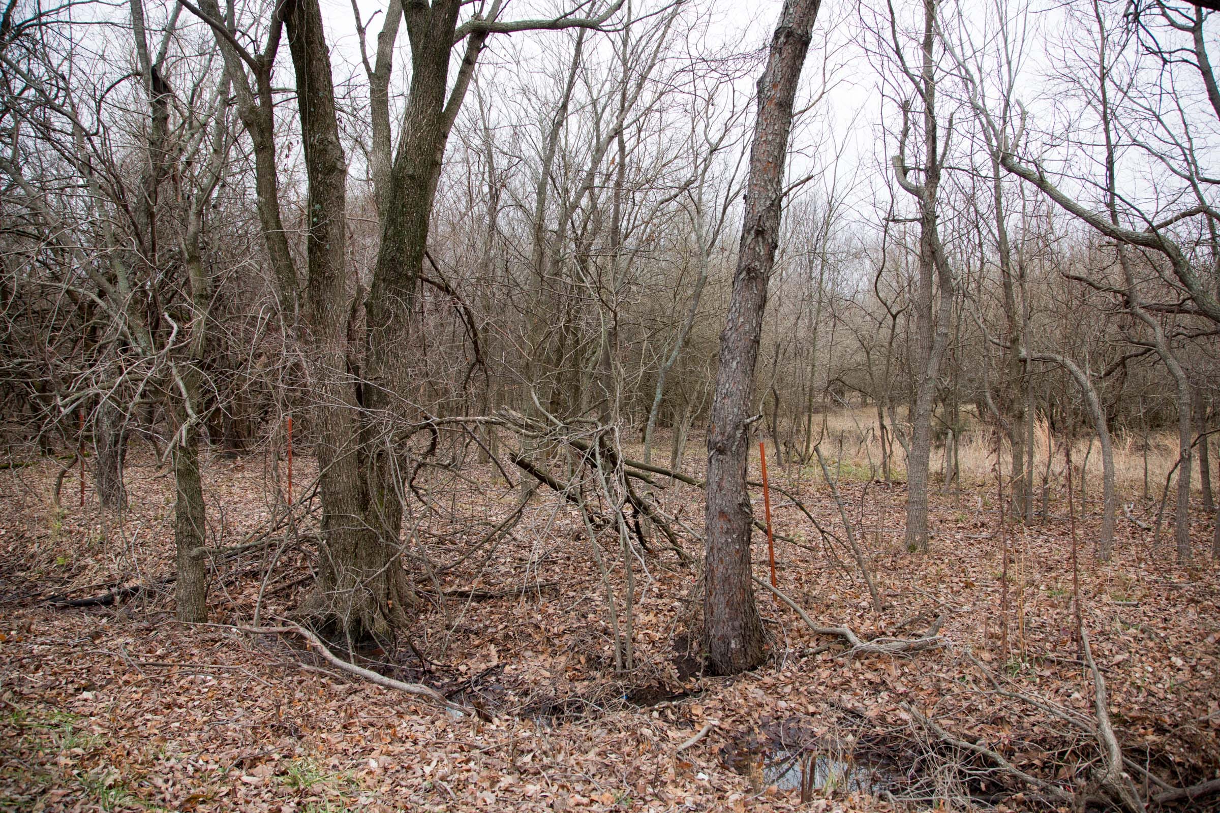 Canadian Plains Tract 7 photo 3