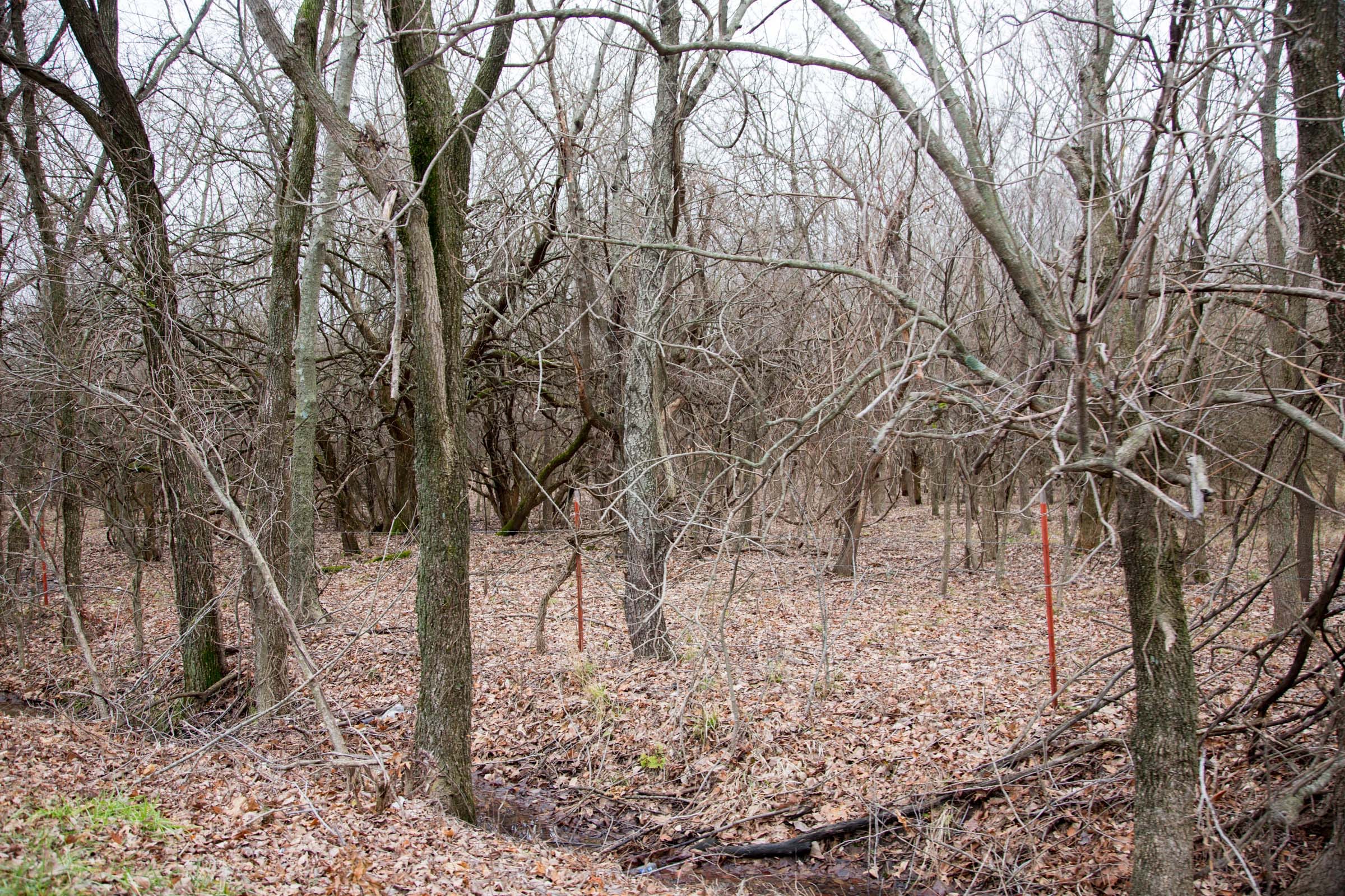 Canadian Plains Tract 7 photo 4