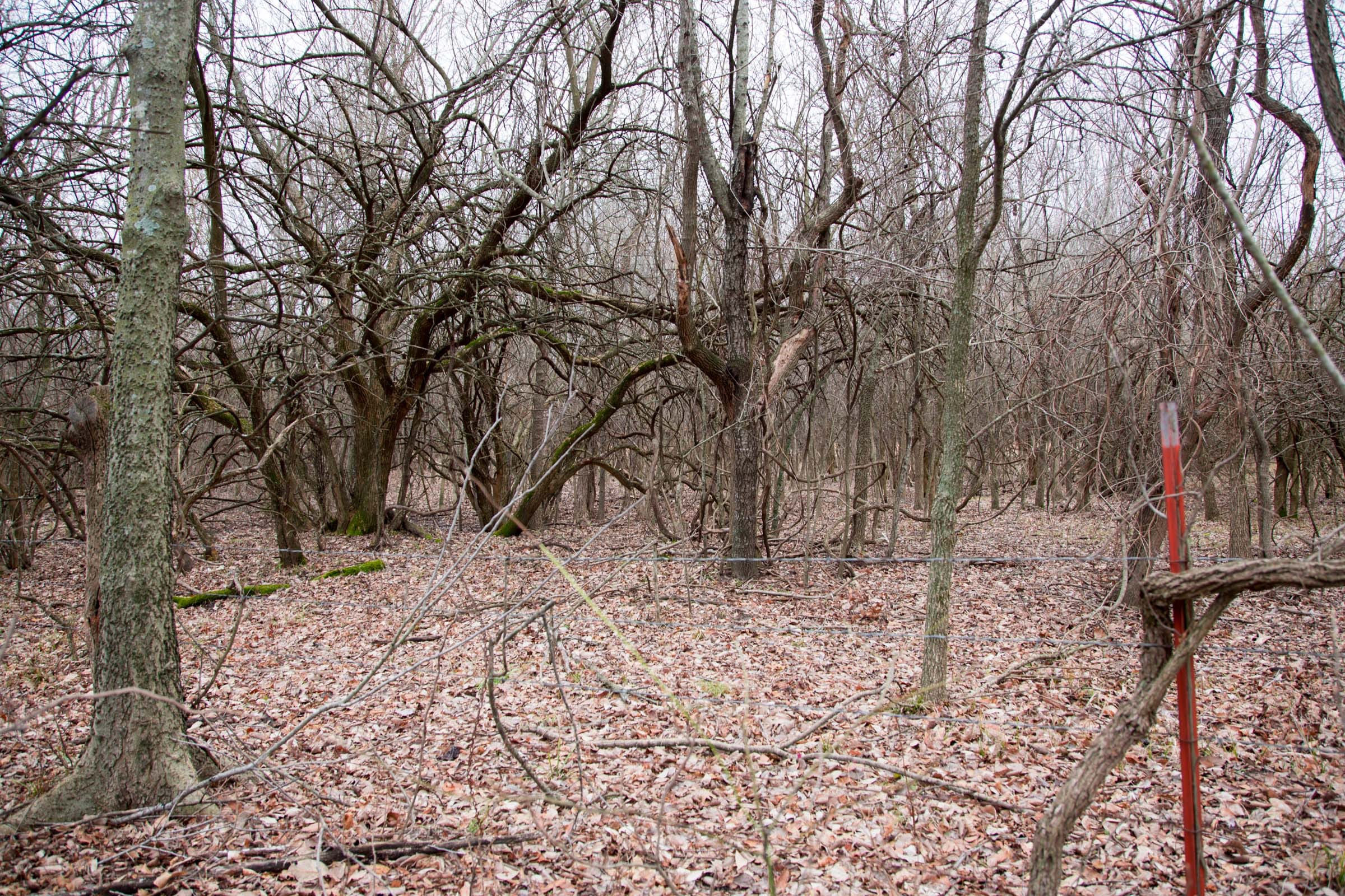 Canadian Plains Tract 7 photo 5