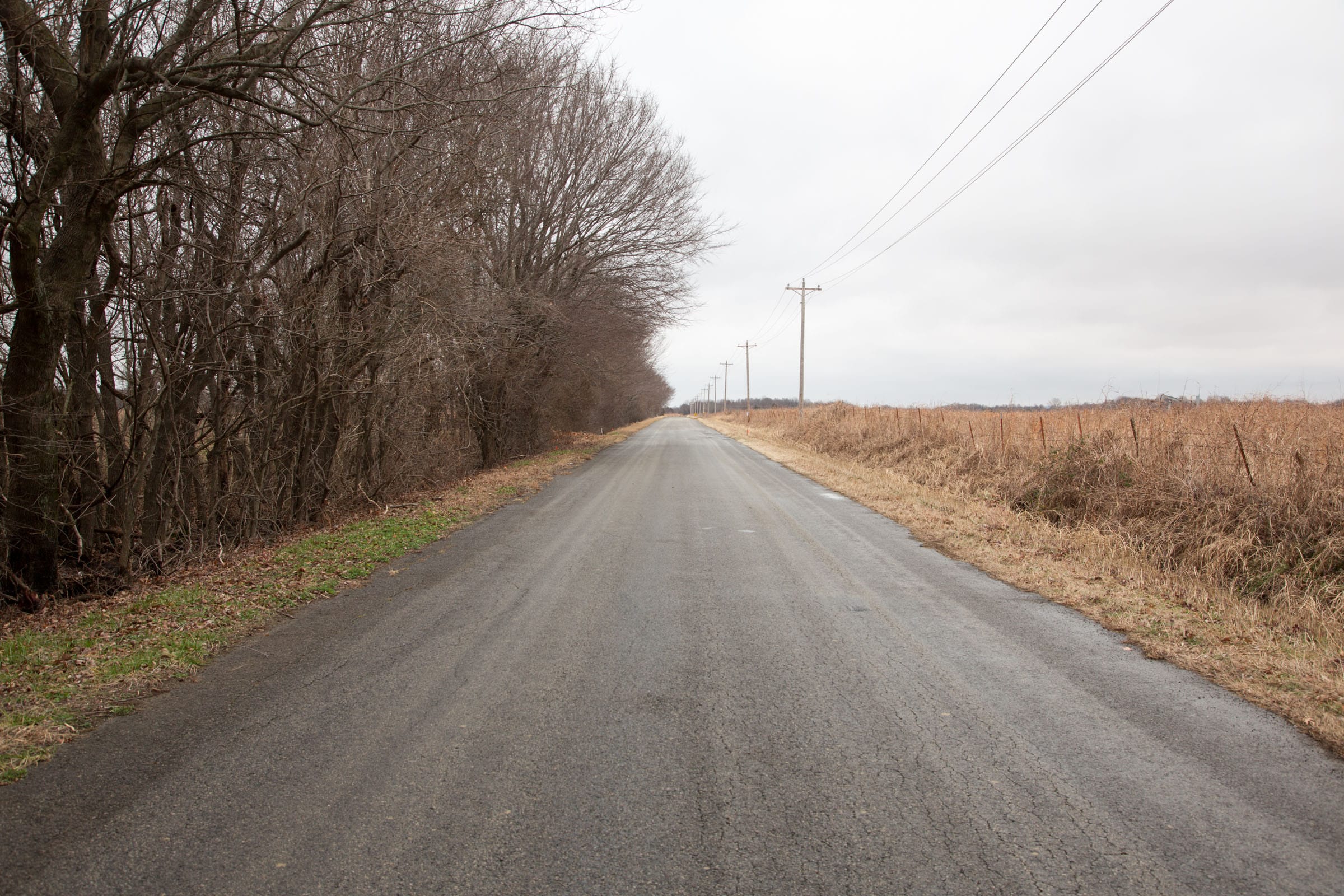 Canadian Plains Tract 7 photo 2
