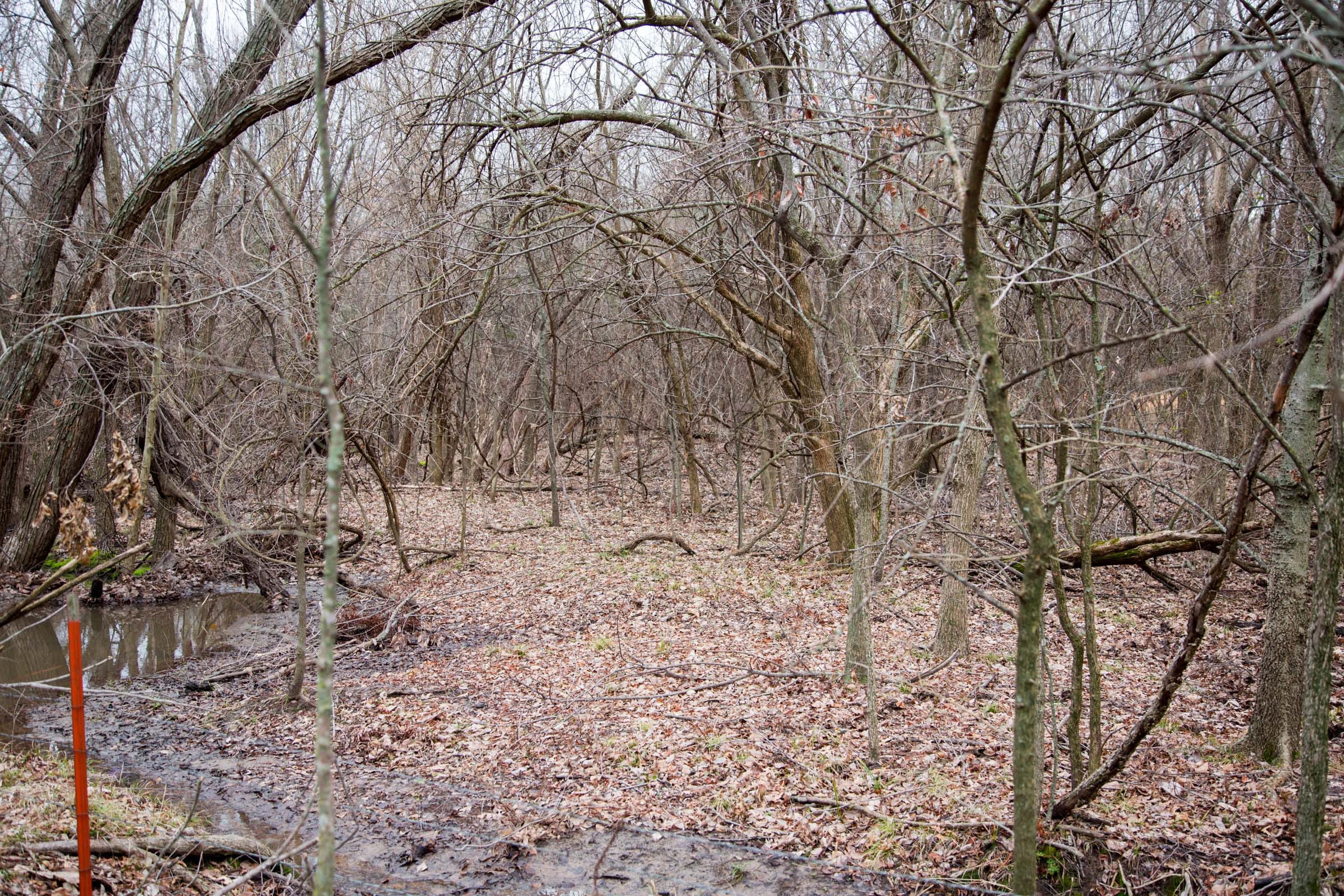 Canadian Plains Tract 7 photo 7