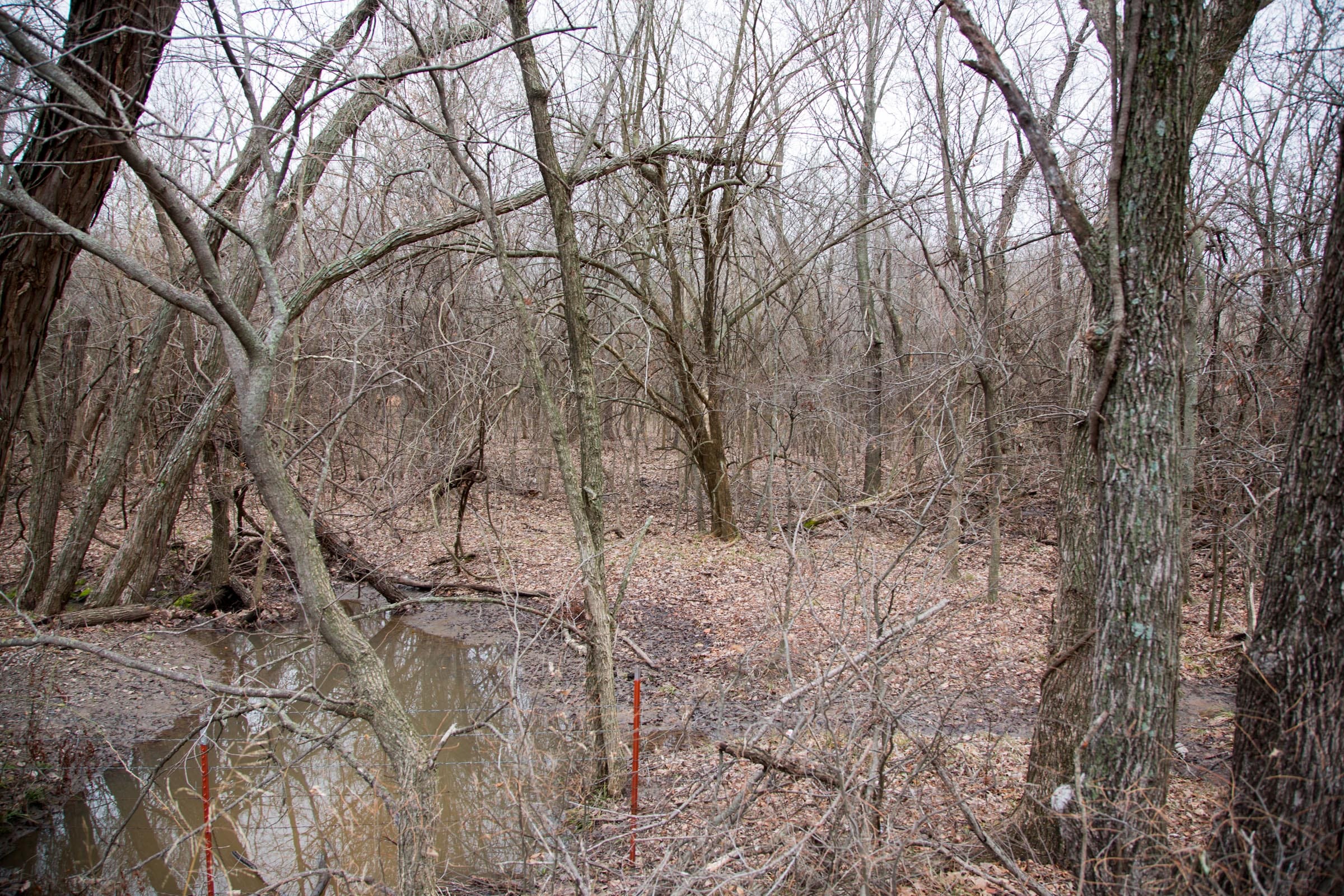 Canadian Plains Tract 7 photo 9