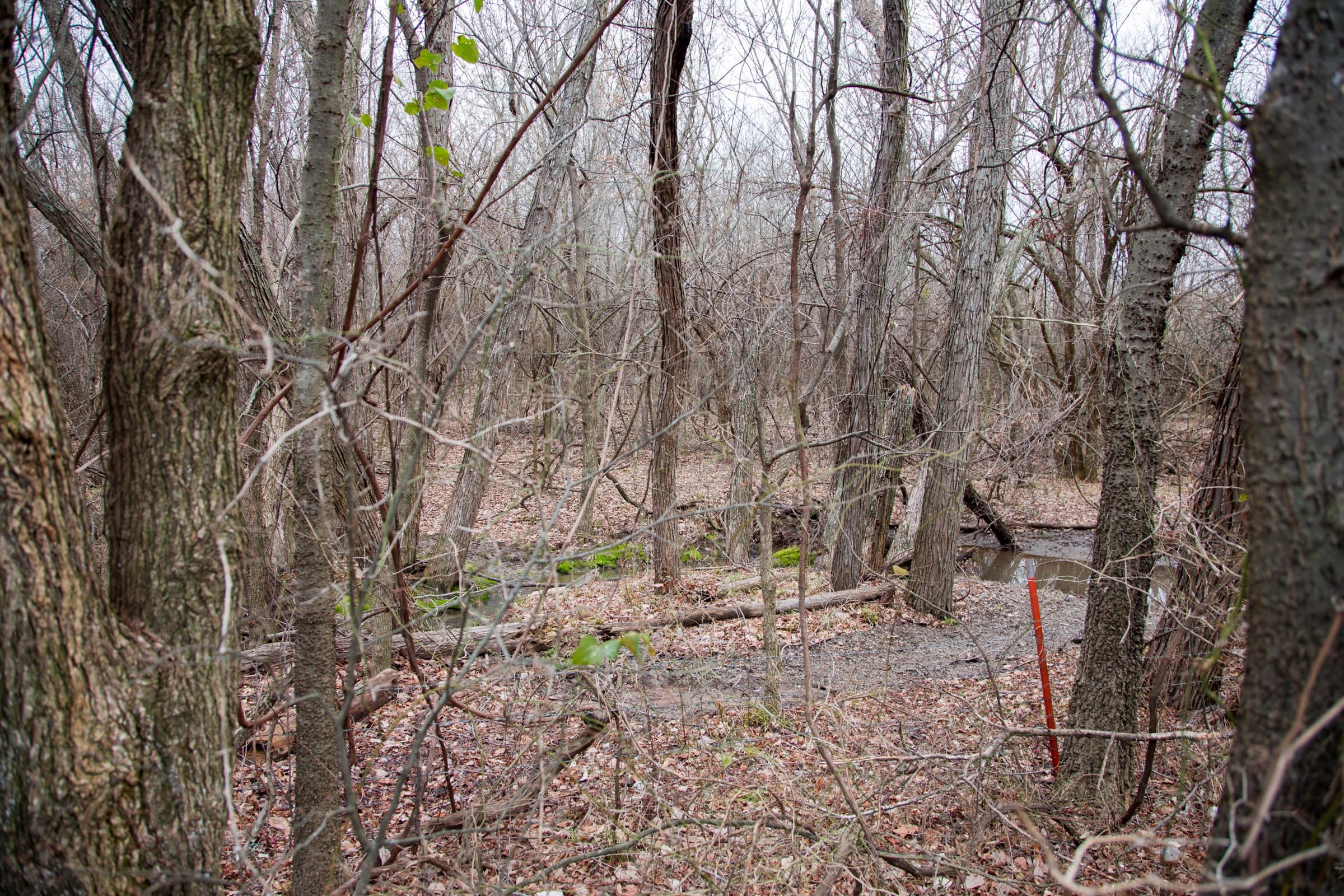 Canadian Plains Tract 7 photo 11