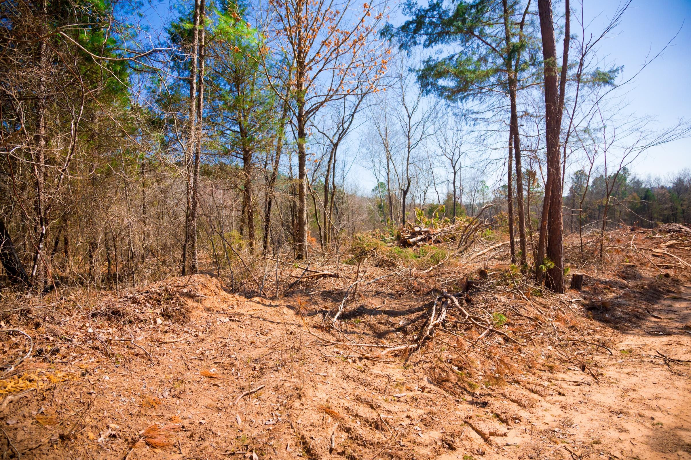 Stone Creek Phase II Tract 121 photo 2