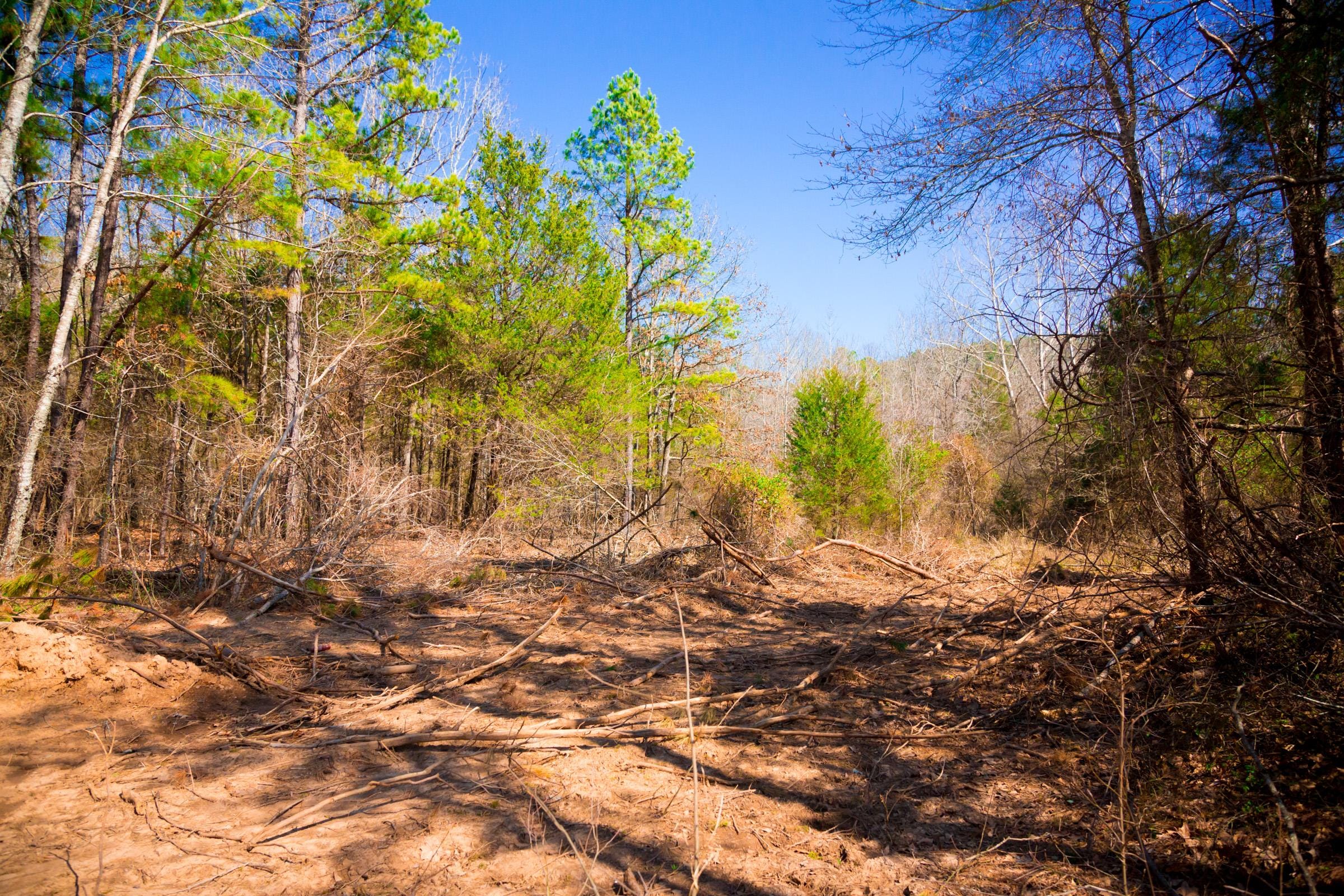 Stone Creek Phase II Tract 121 photo 3