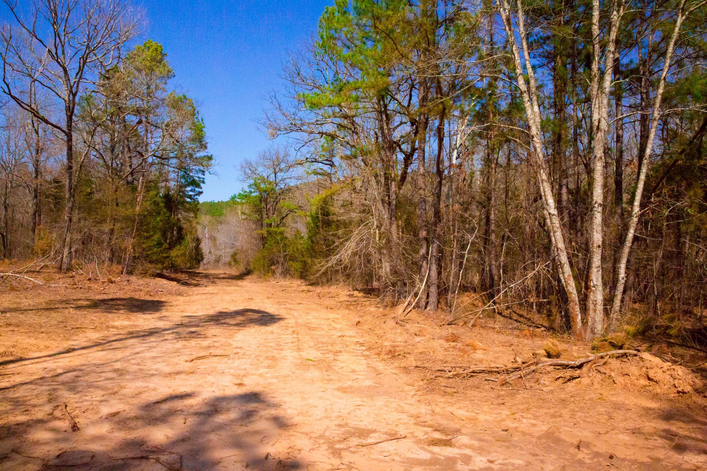Stone Creek Phase II Tract 121 photo 4