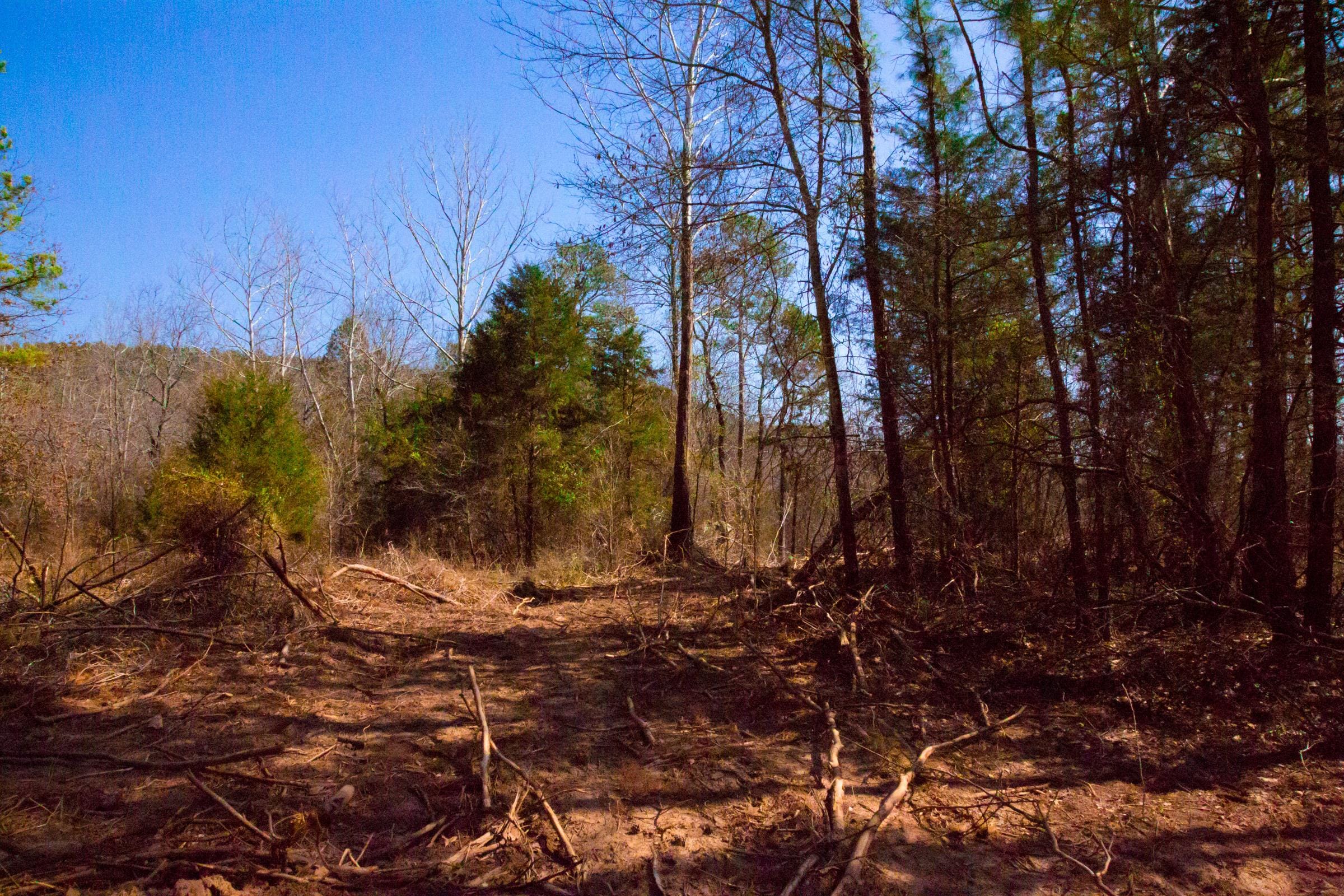 Stone Creek Phase II Tract 121 photo 5