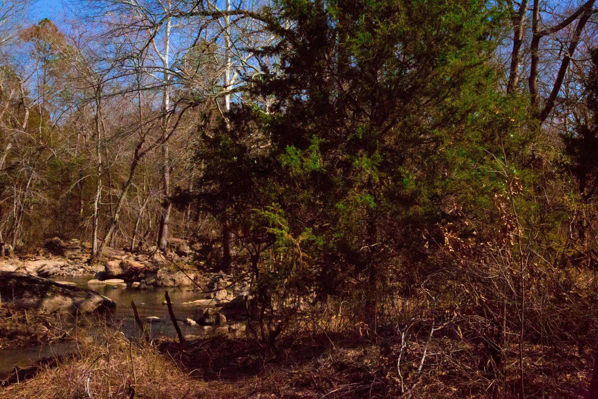 Stone Creek Phase II Tract 121 photo 8