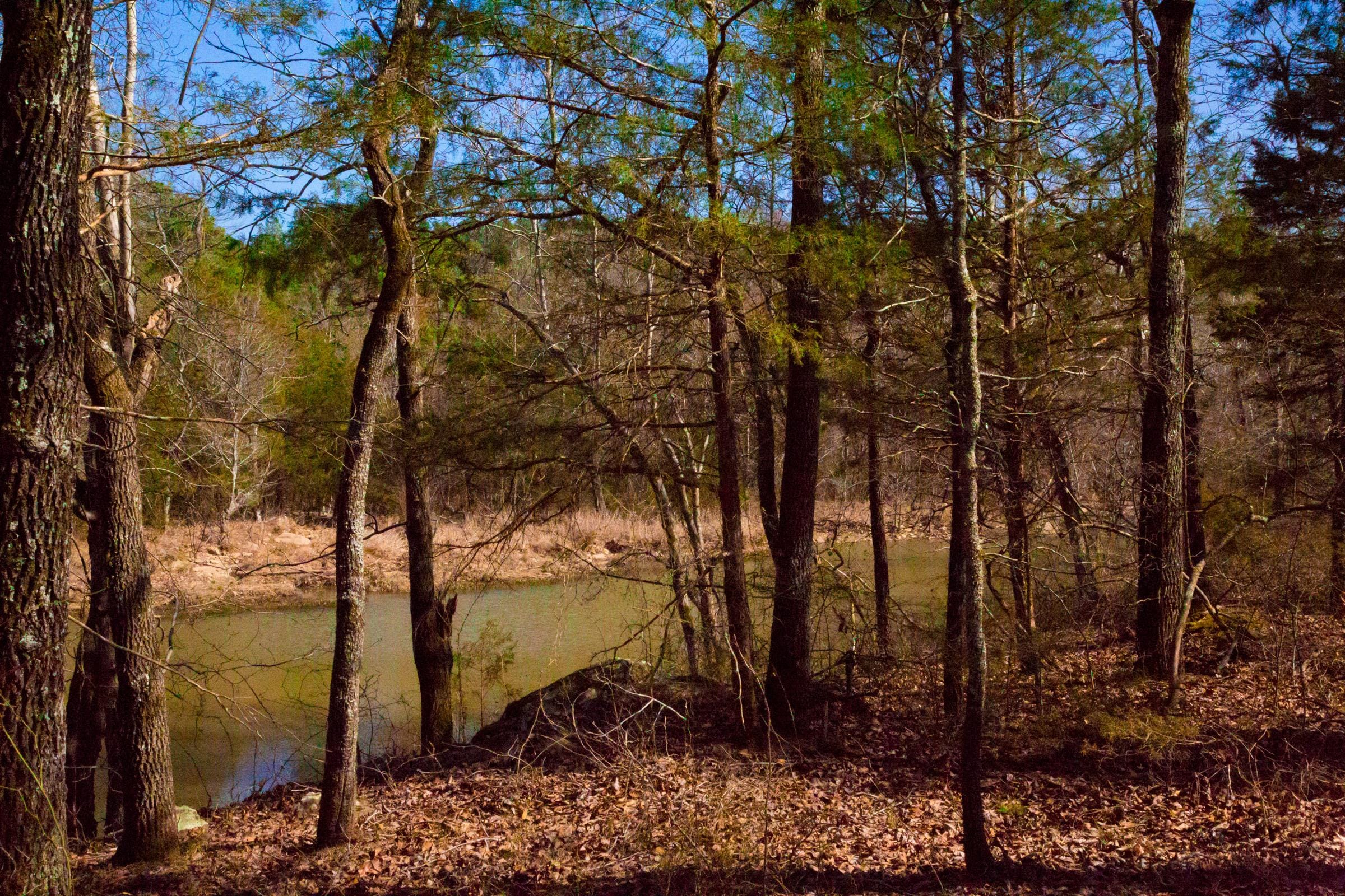Stone Creek Phase II Tract 121 photo 10
