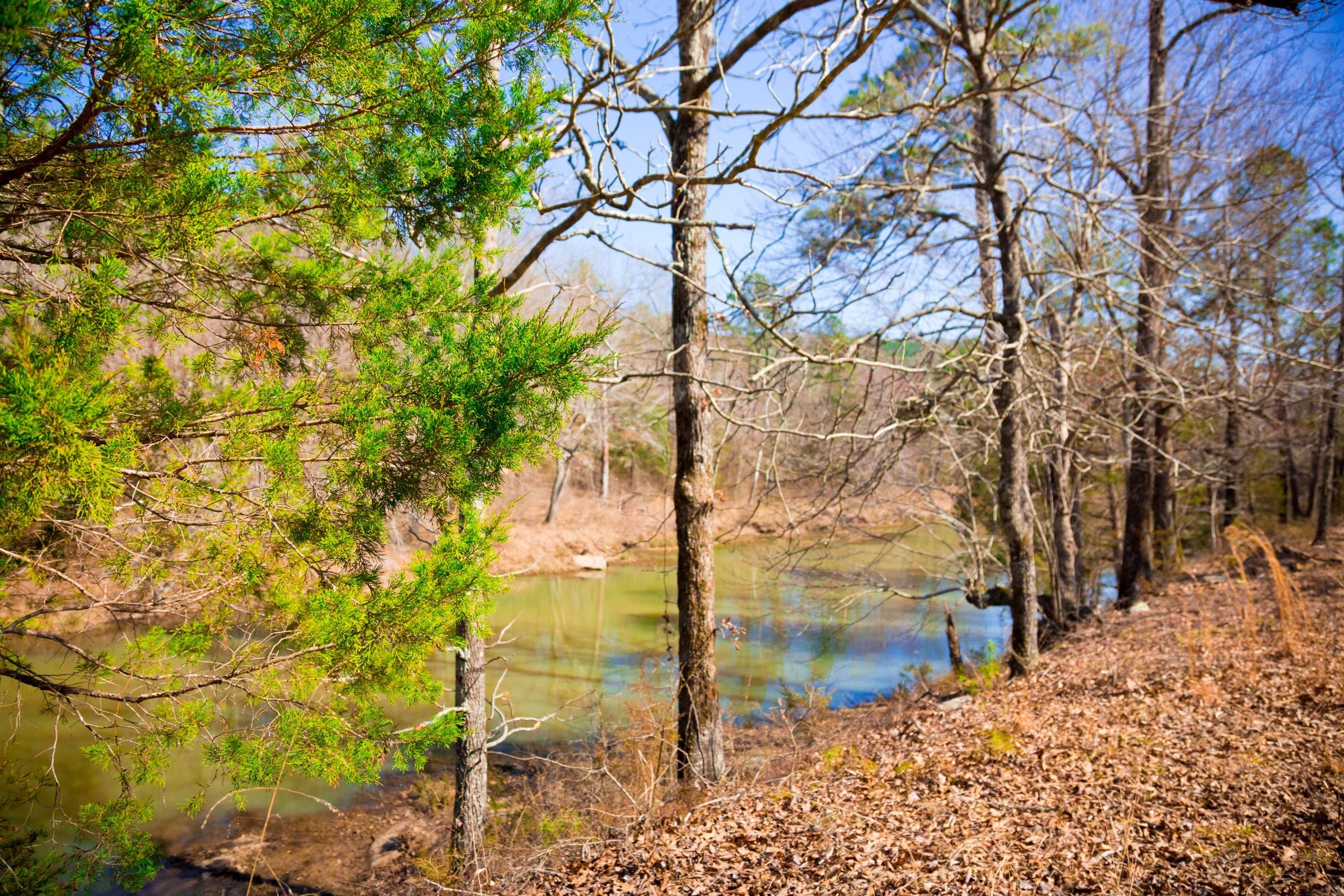Stone Creek Phase II Tract 121 photo 16