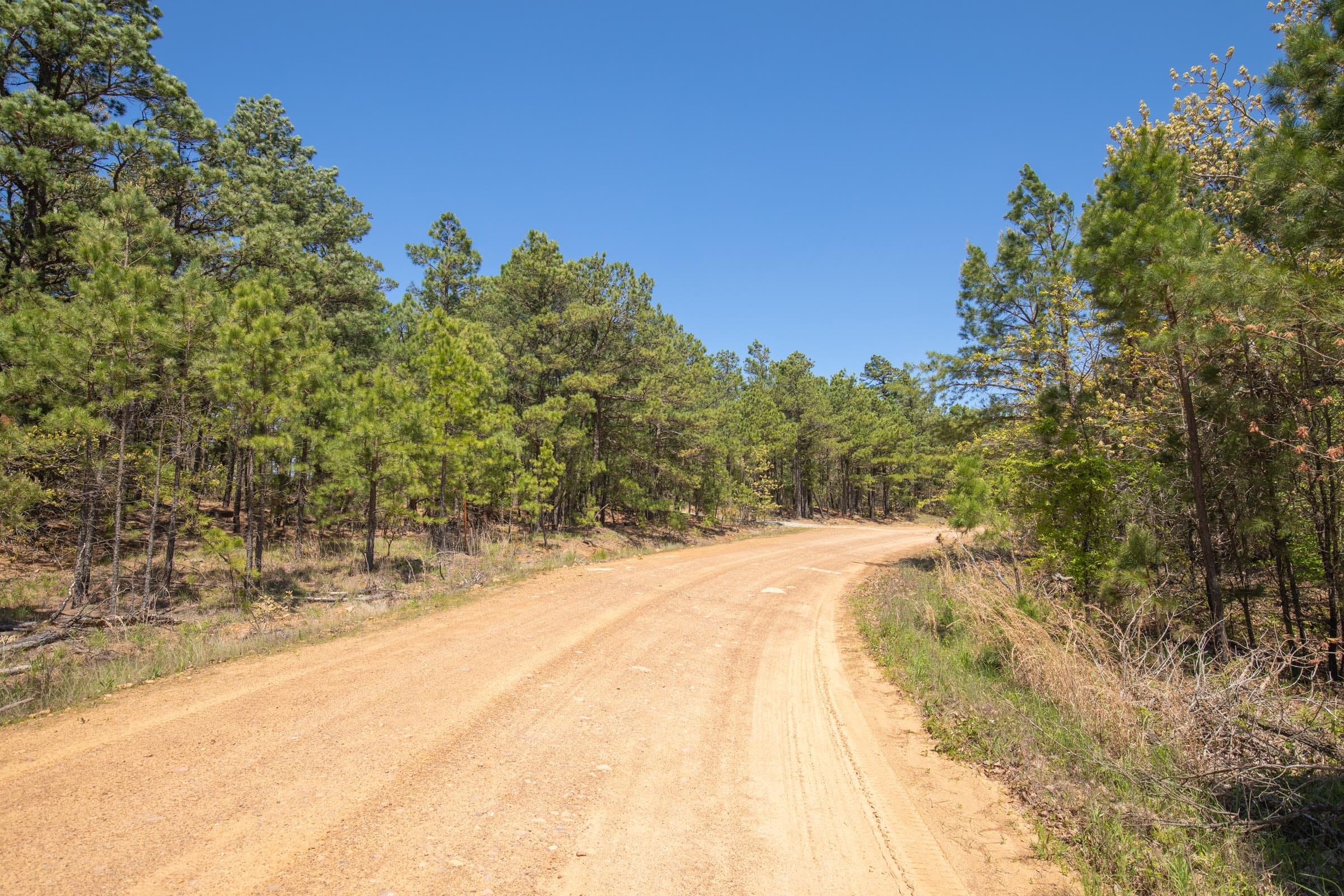 Eagle’s Nest Tract 8 photo 6