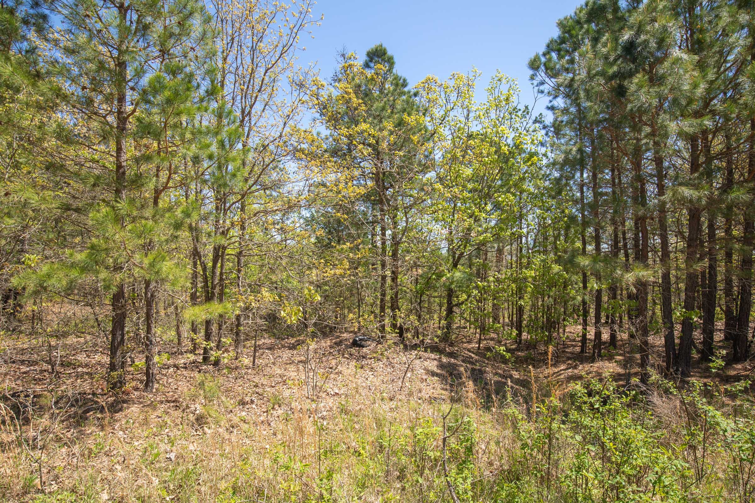 Eagle’s Nest Tract 8 photo 4
