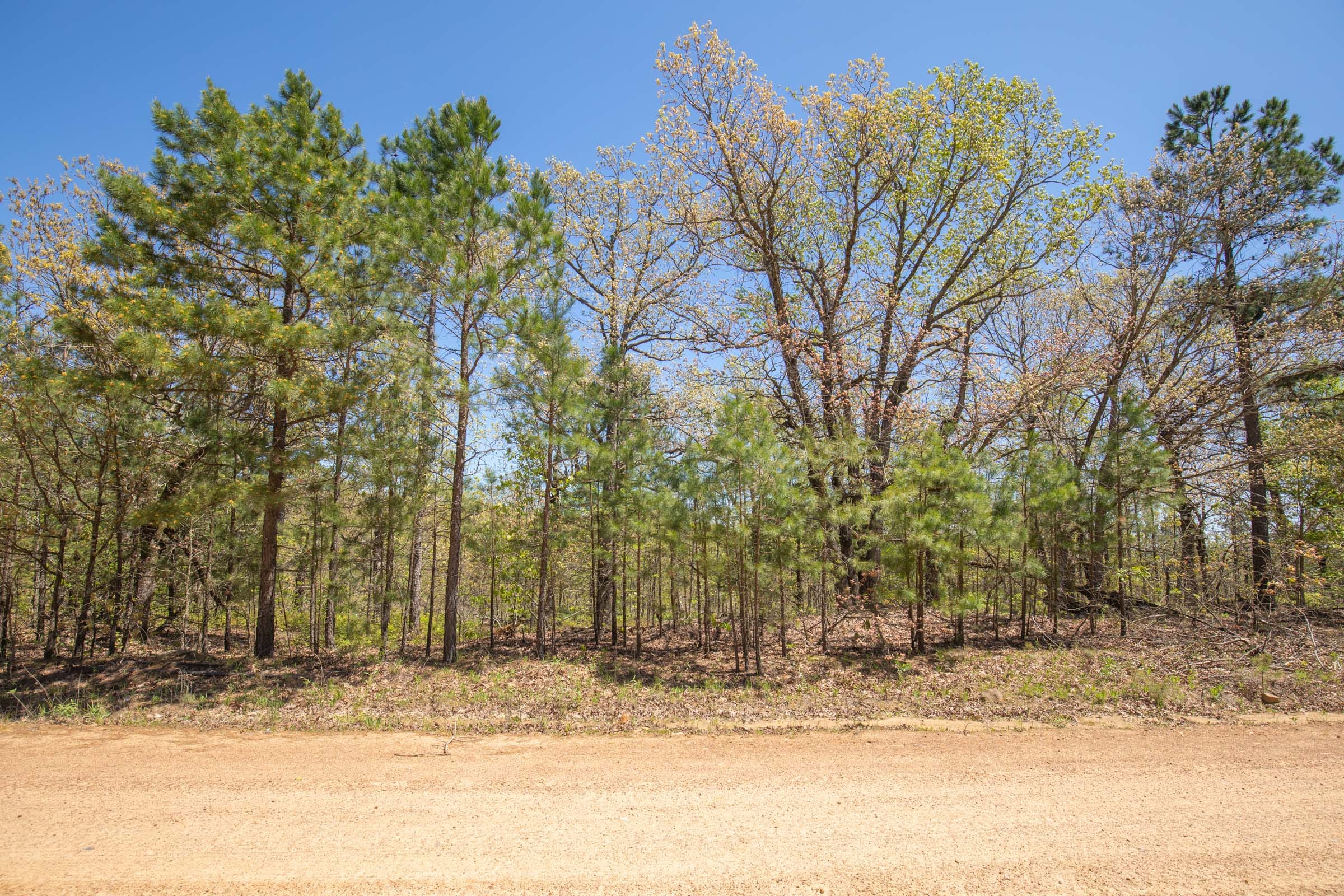Eagle’s Nest Tract 8 photo 8