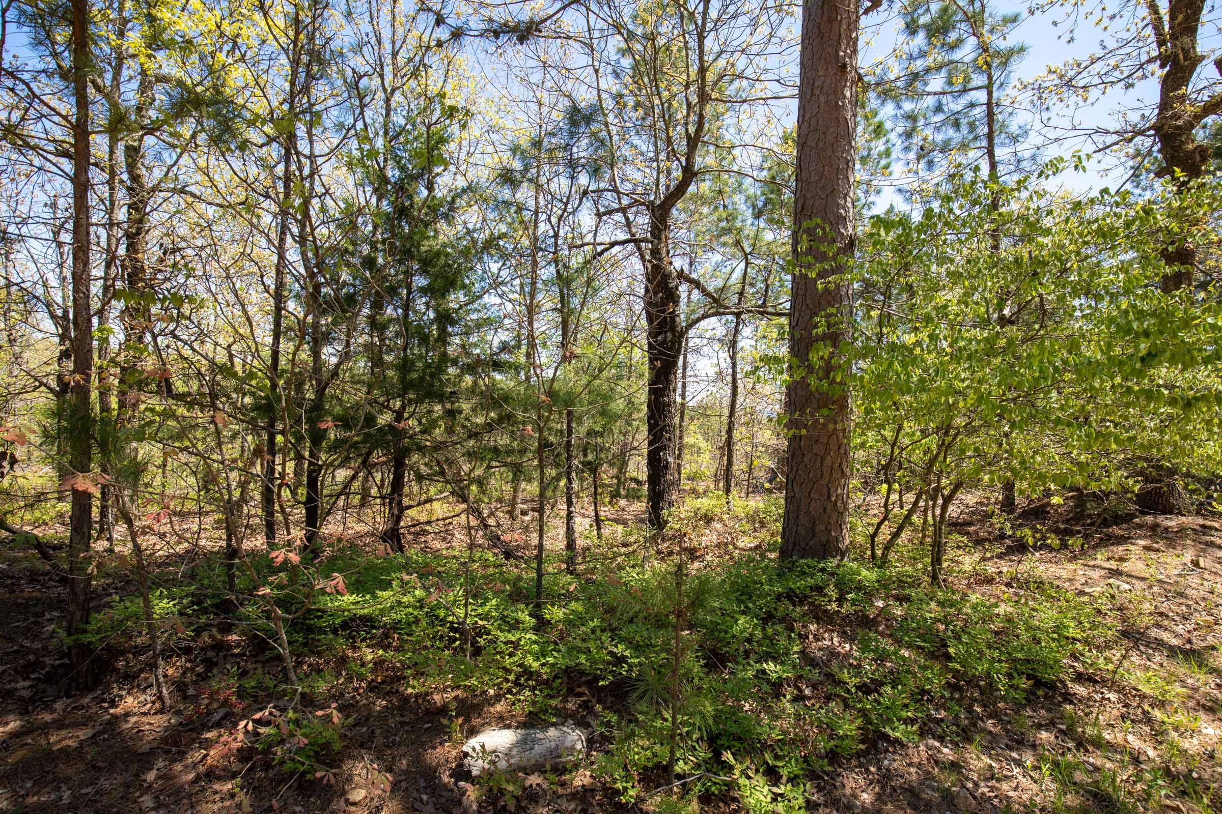 Eagle’s Nest Tract 8 photo 9
