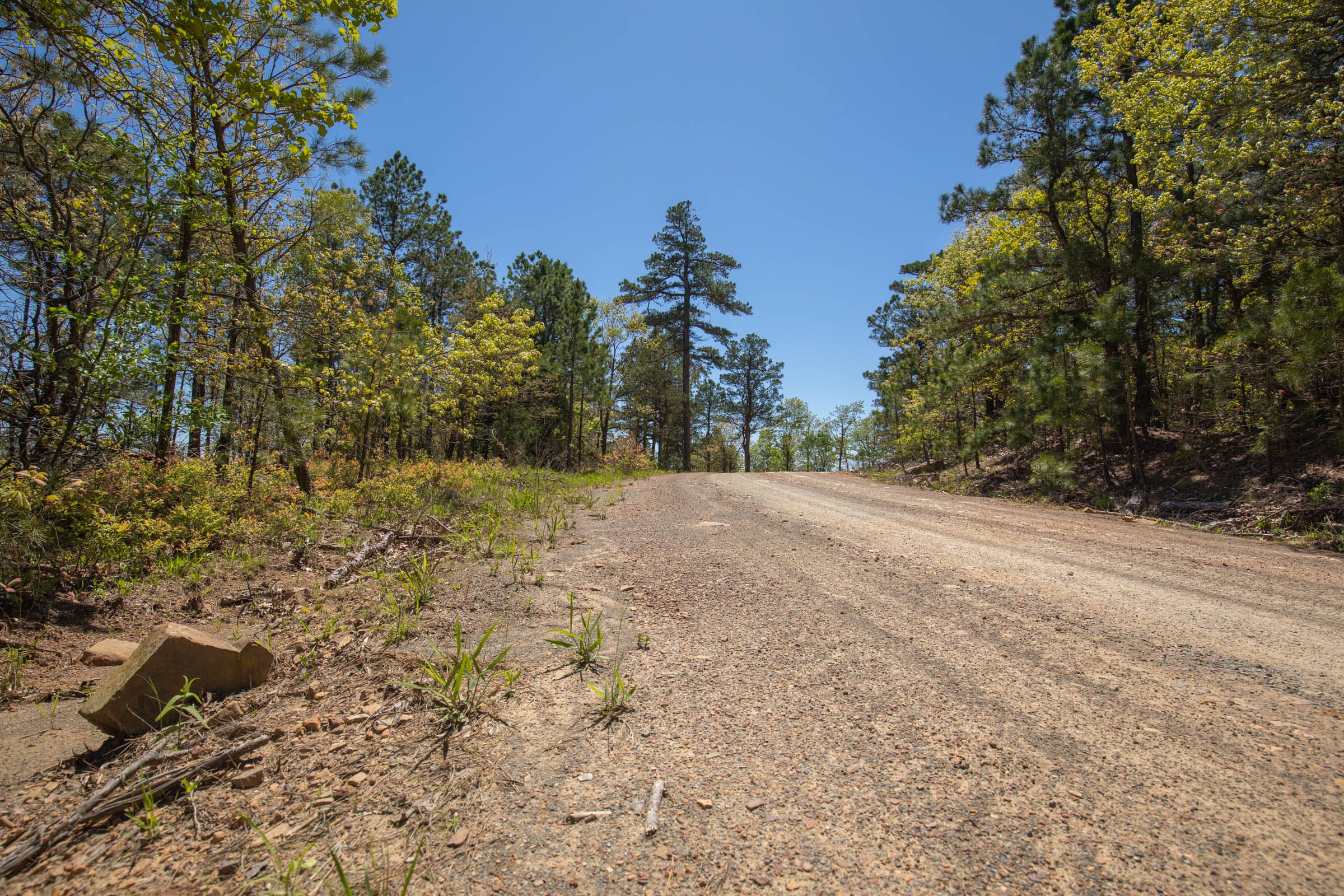 Eagle’s Nest Tract 8 photo 10