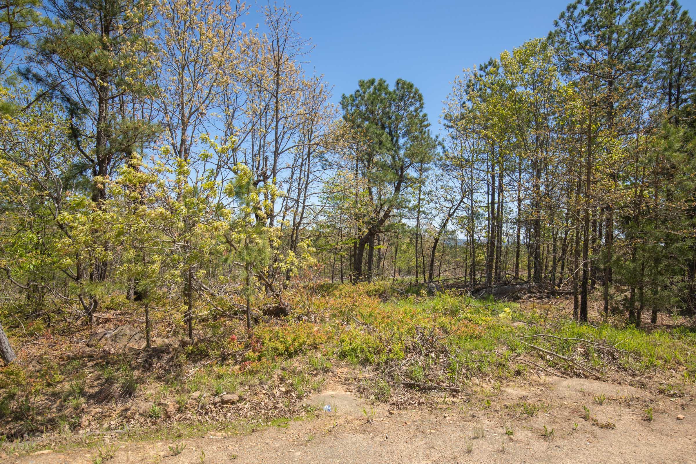 Eagle’s Nest Tract 8 photo 11