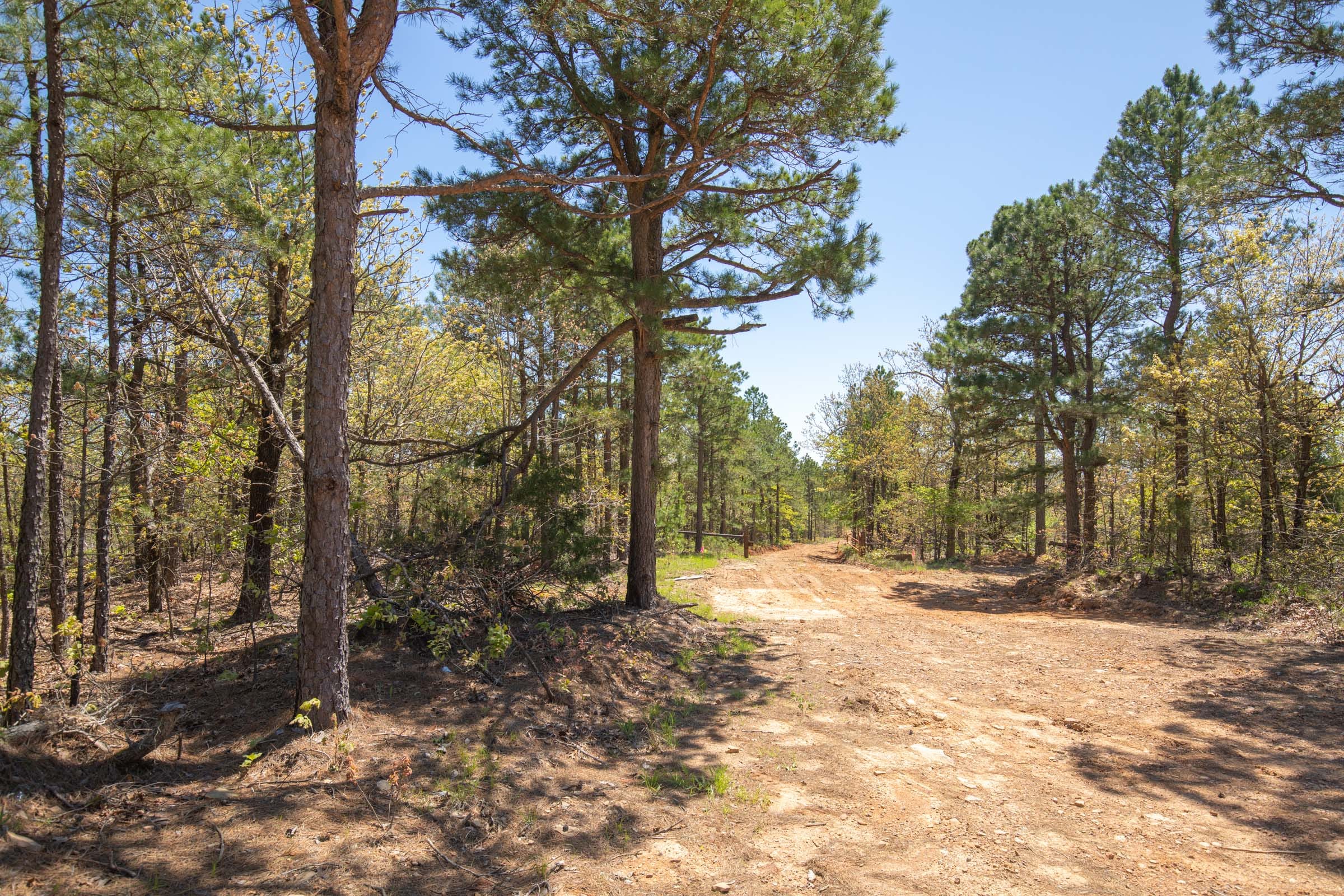 Eagle’s Nest Tract 8 photo 12