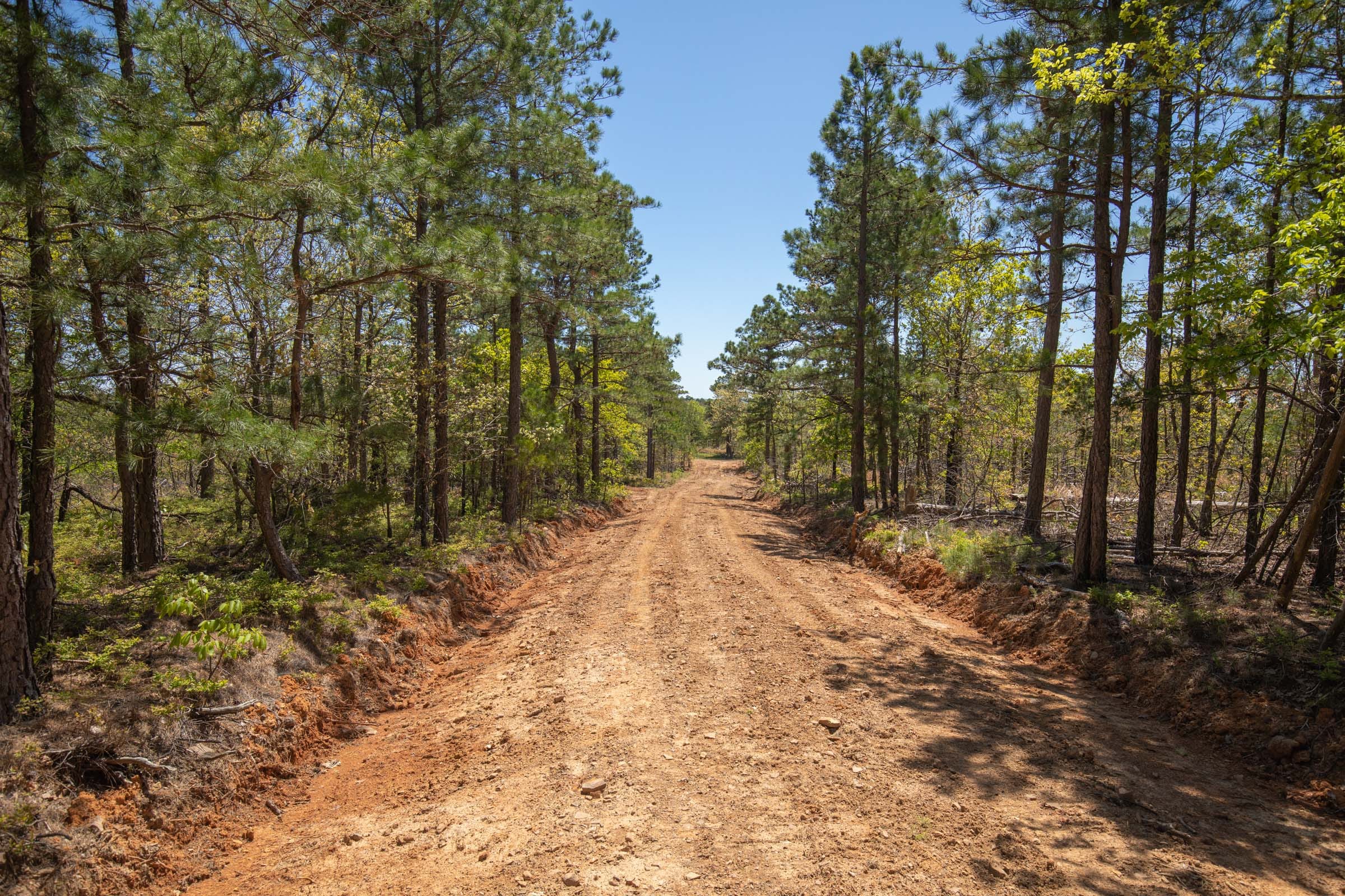 Eagle’s Nest Tract 8 photo 13