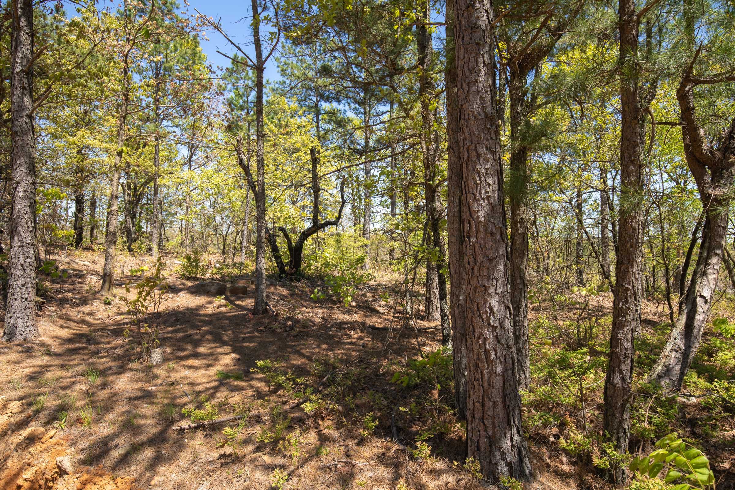 Eagle’s Nest Tract 8 photo 14