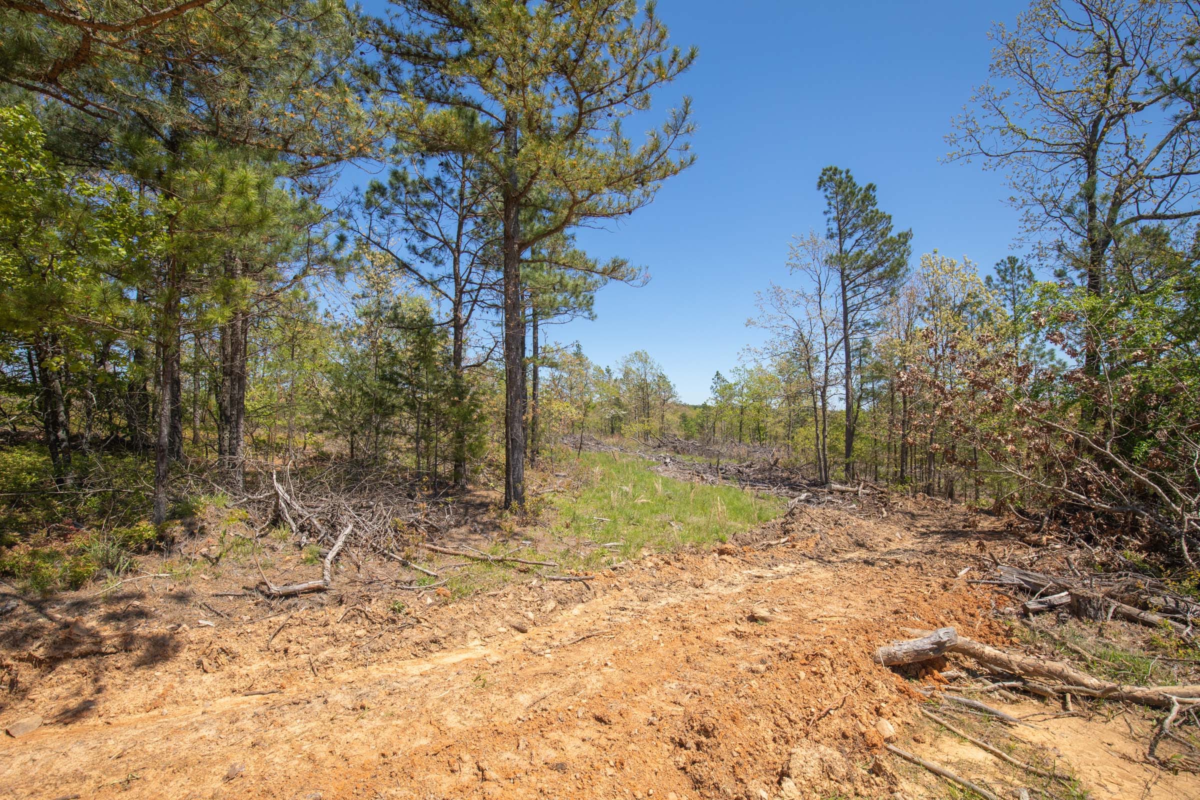 Eagle’s Nest Tract 8 photo 15