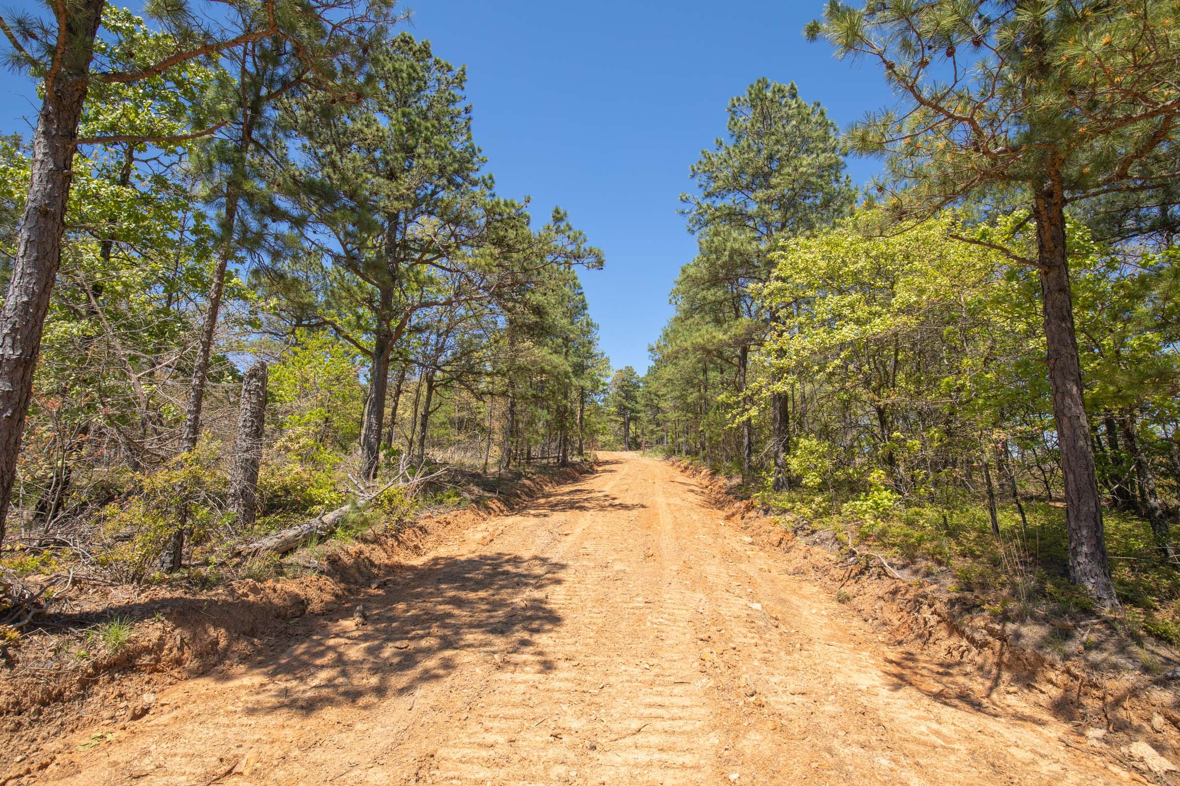 Eagle’s Nest Tract 8 photo 16