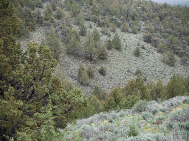 Moon Valley Ranch Tract 766 photo 10