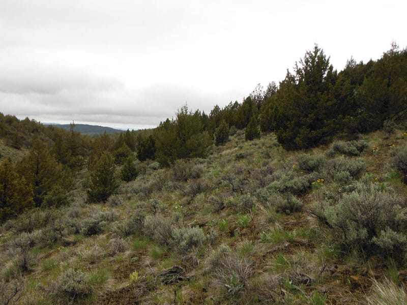 Moon Valley Ranch Tract 766 photo 12