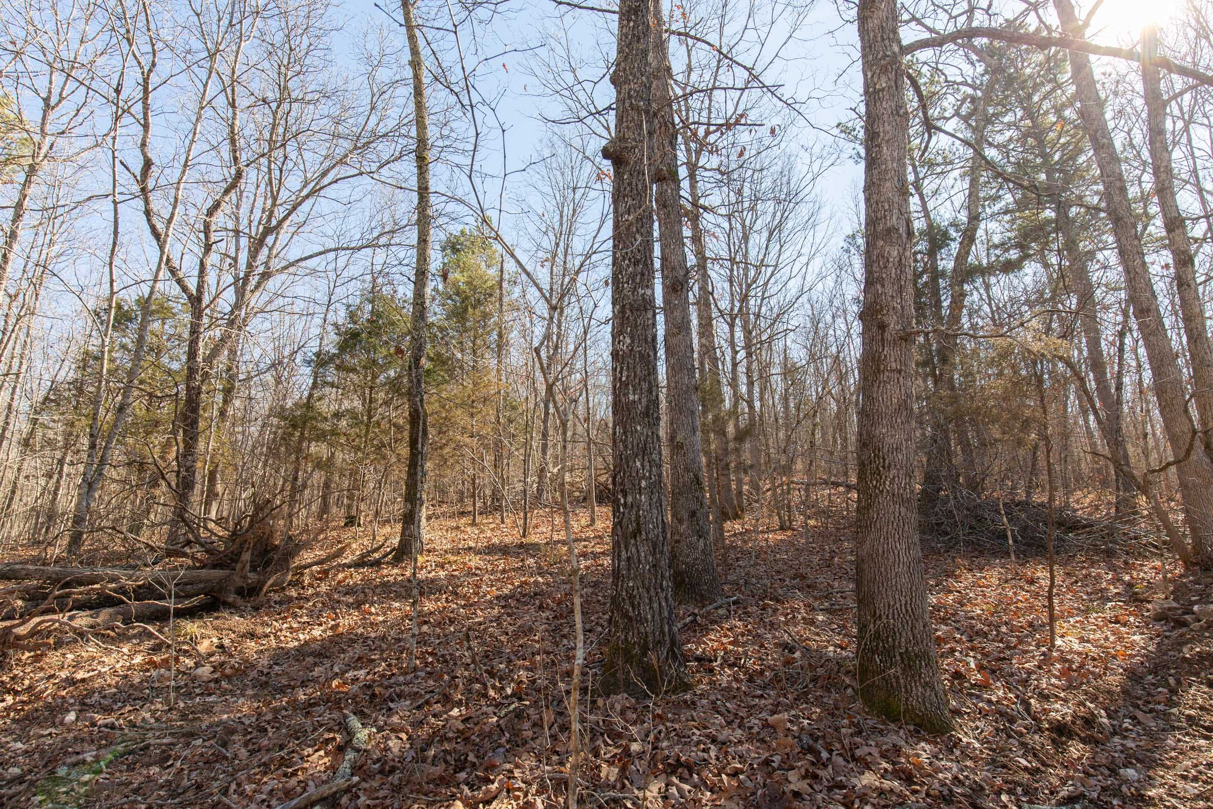 O’Connor Crossing Tract 23 photo 3