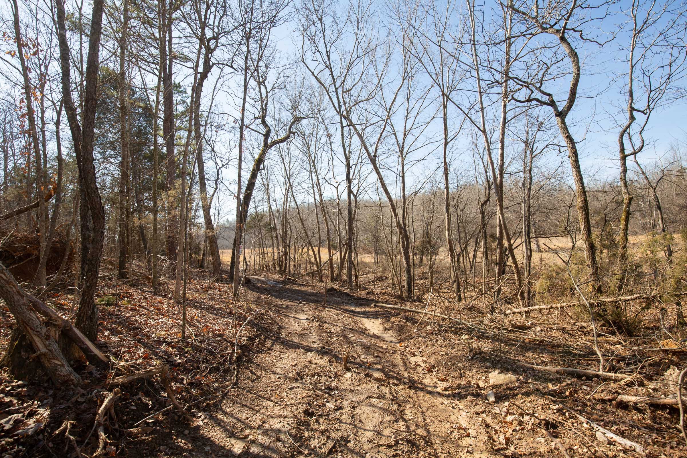 O’Connor Crossing Tract 23 photo 10