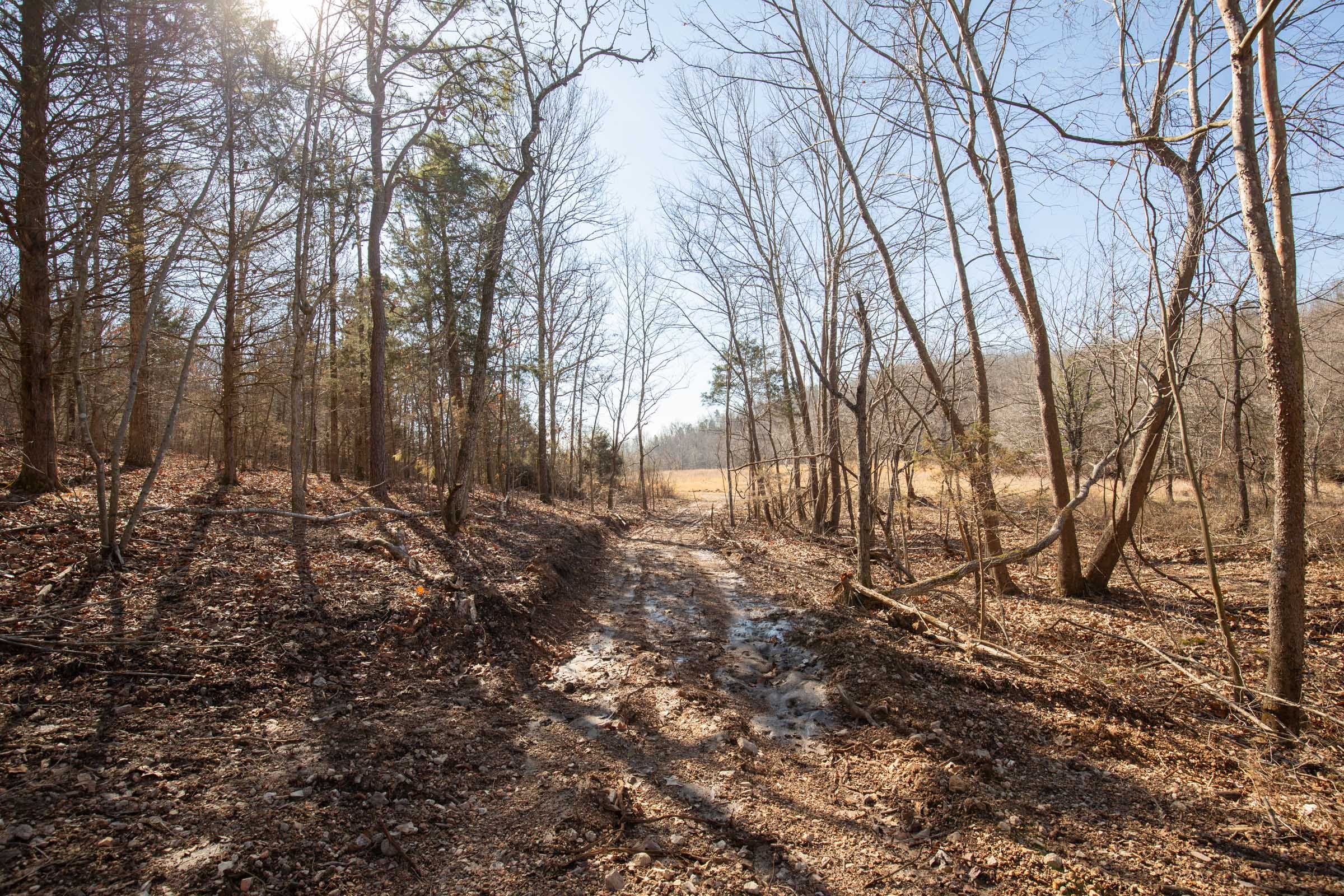 O’Connor Crossing Tract 23 photo 6