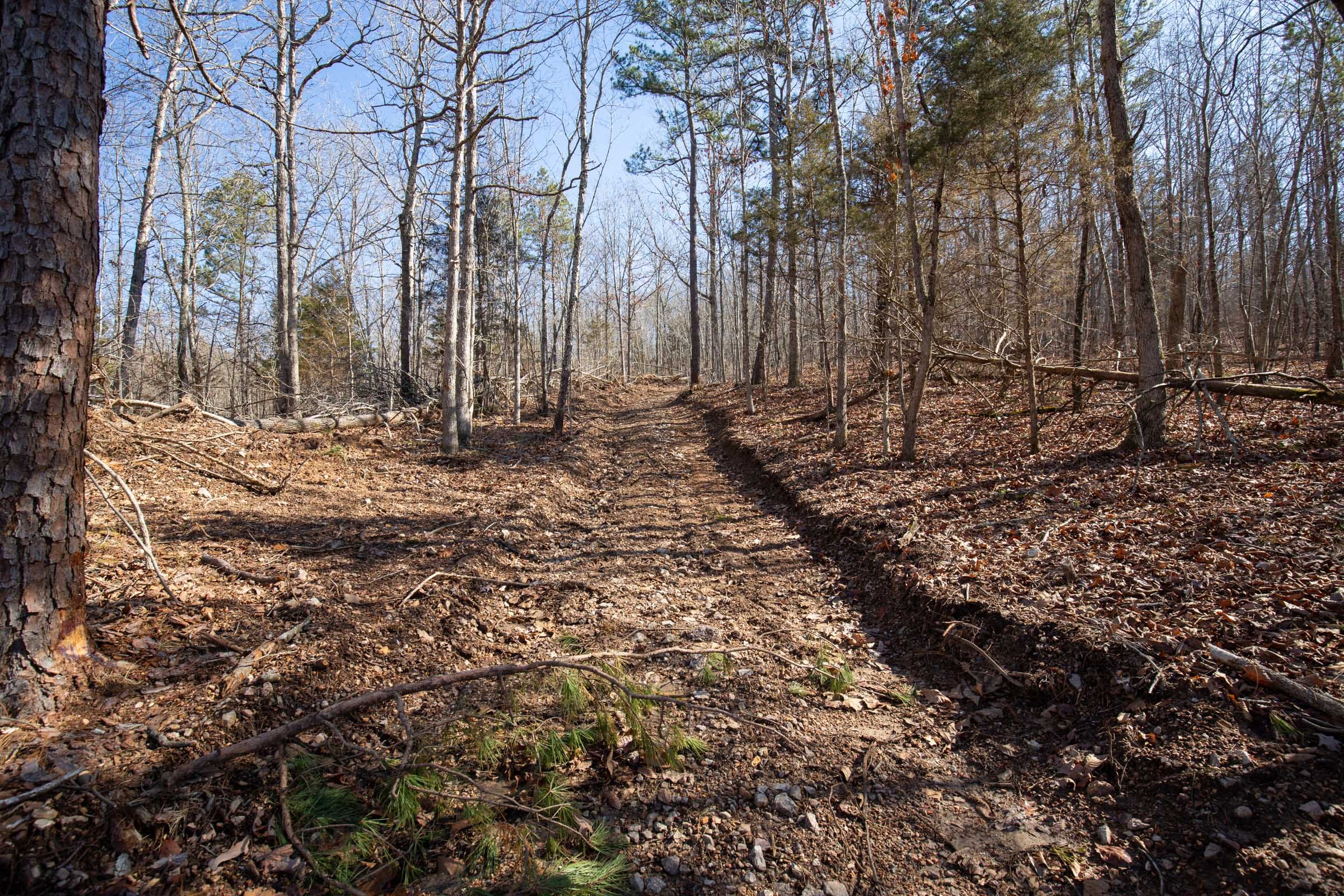 O’Connor Crossing Tract 23 photo 8