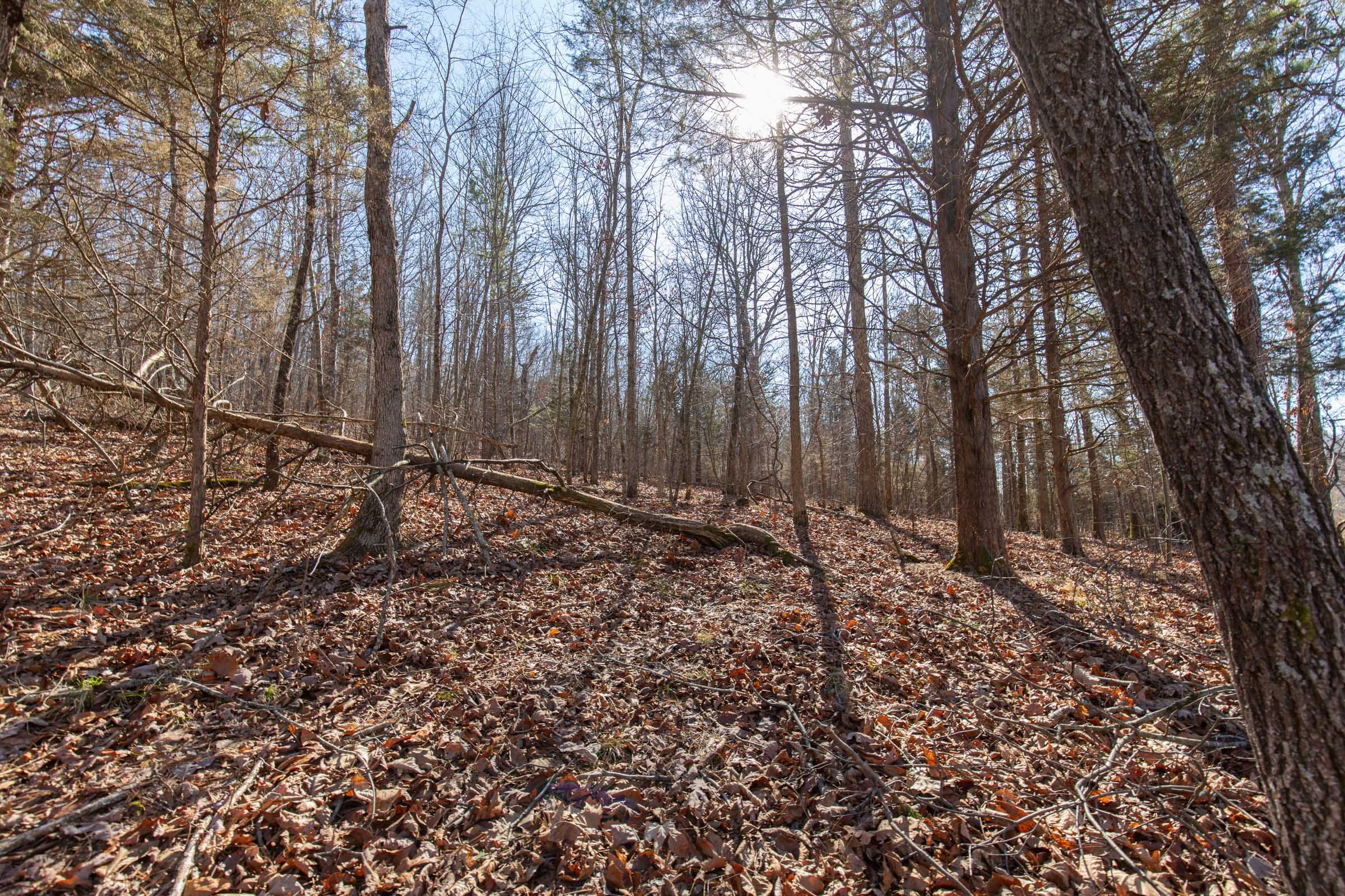 O’Connor Crossing Tract 23 photo 5
