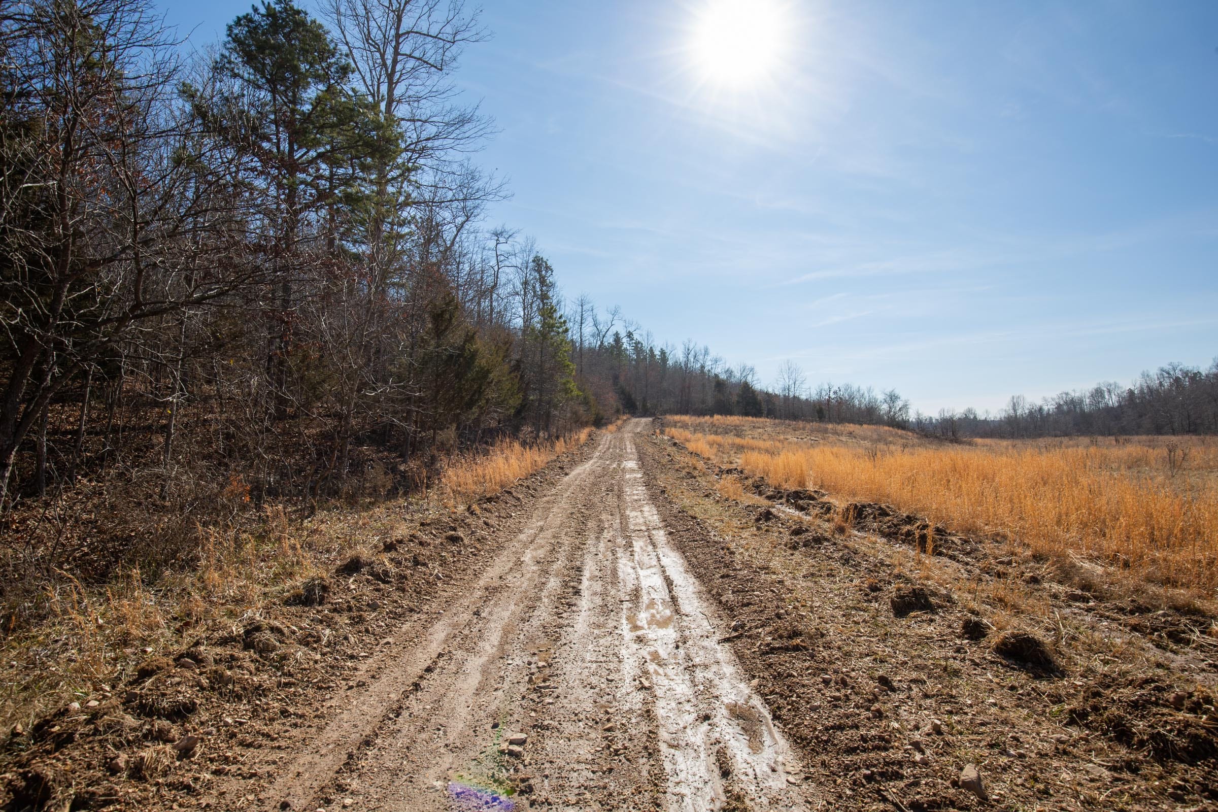 O’Connor Crossing Tract 23 photo 2
