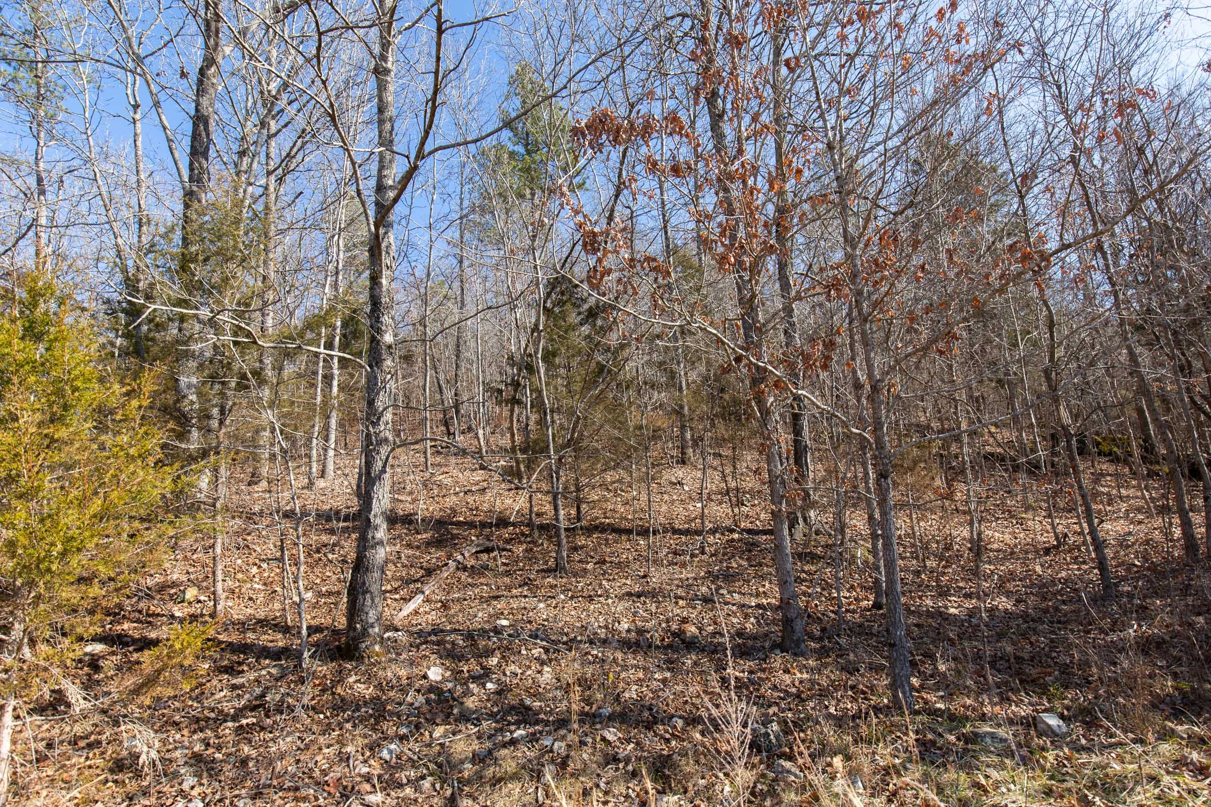 O’Connor Crossing Tract 23 photo 9