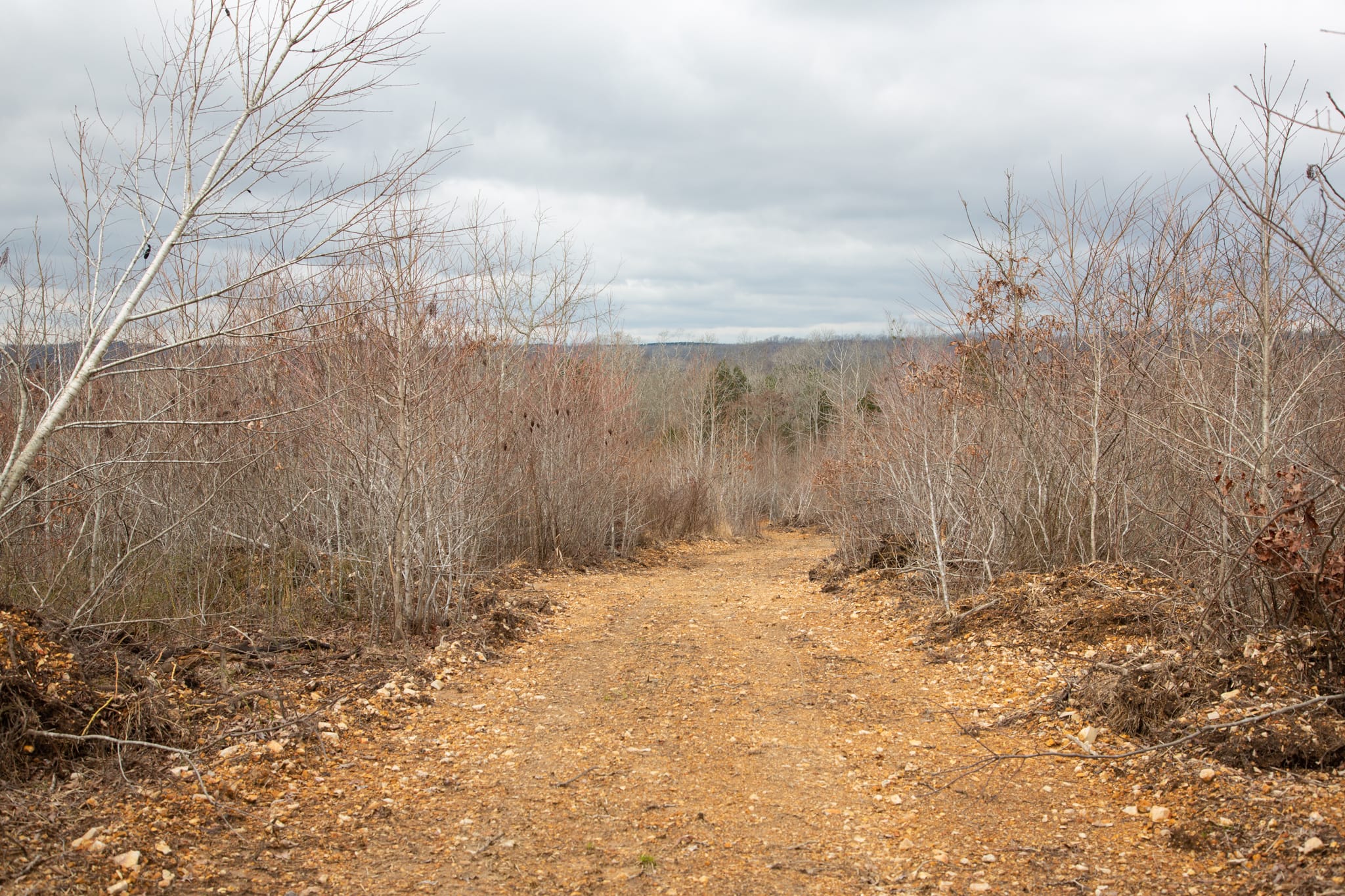 Southwind Ranch Tract 26 photo 3