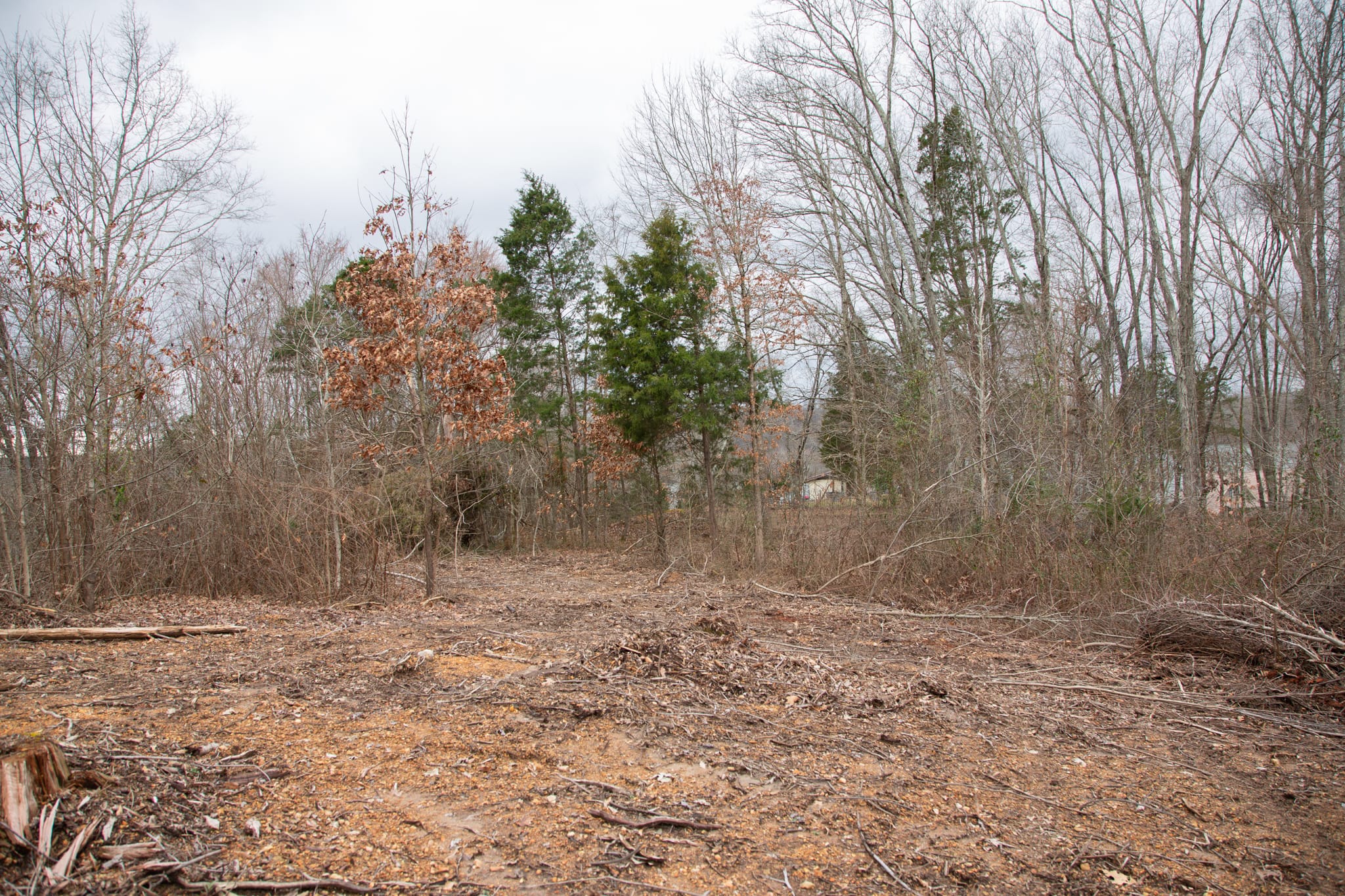 Southwind Ranch Tract 26 photo 7