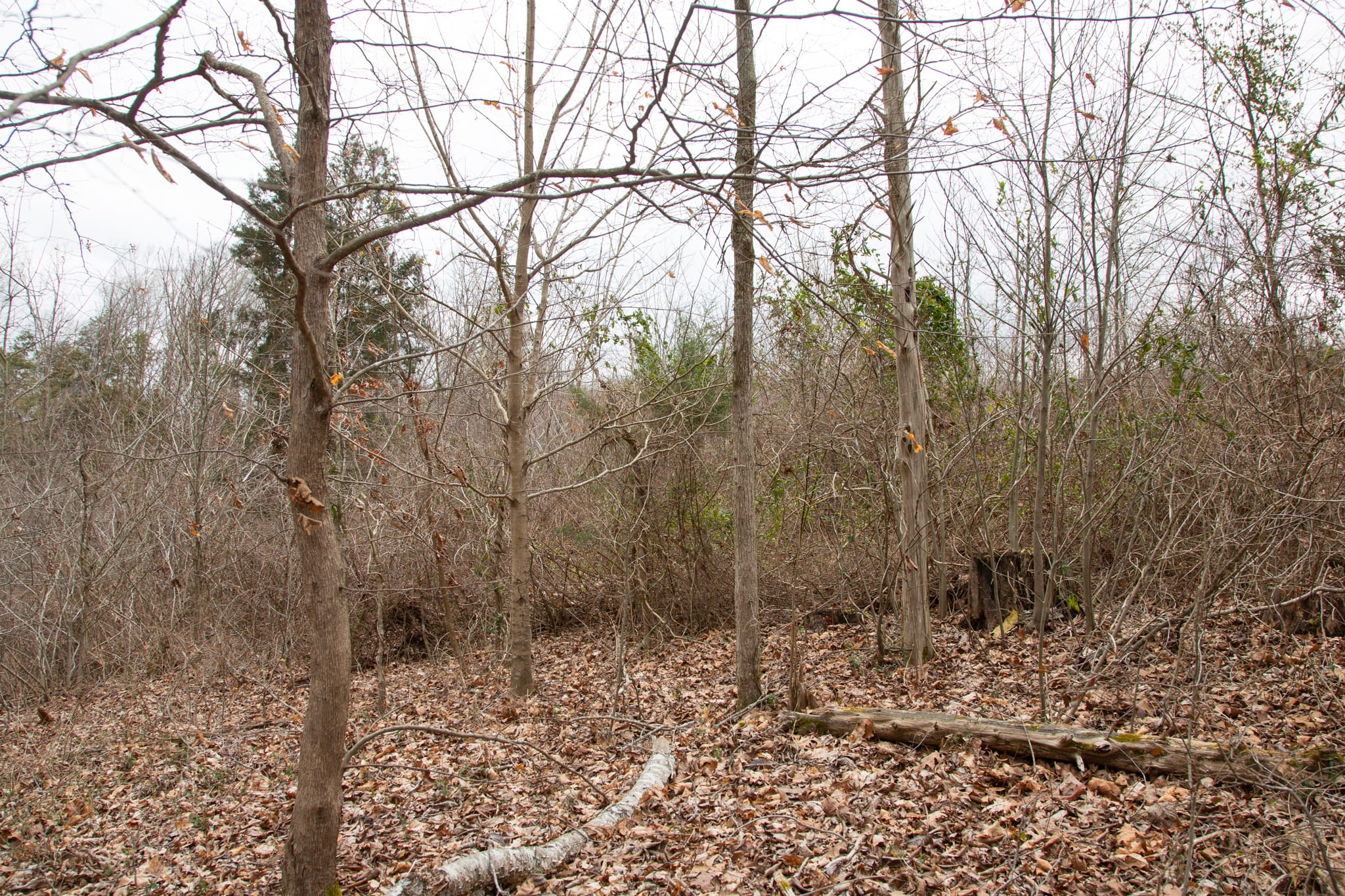 Southwind Ranch Tract 26 photo 9