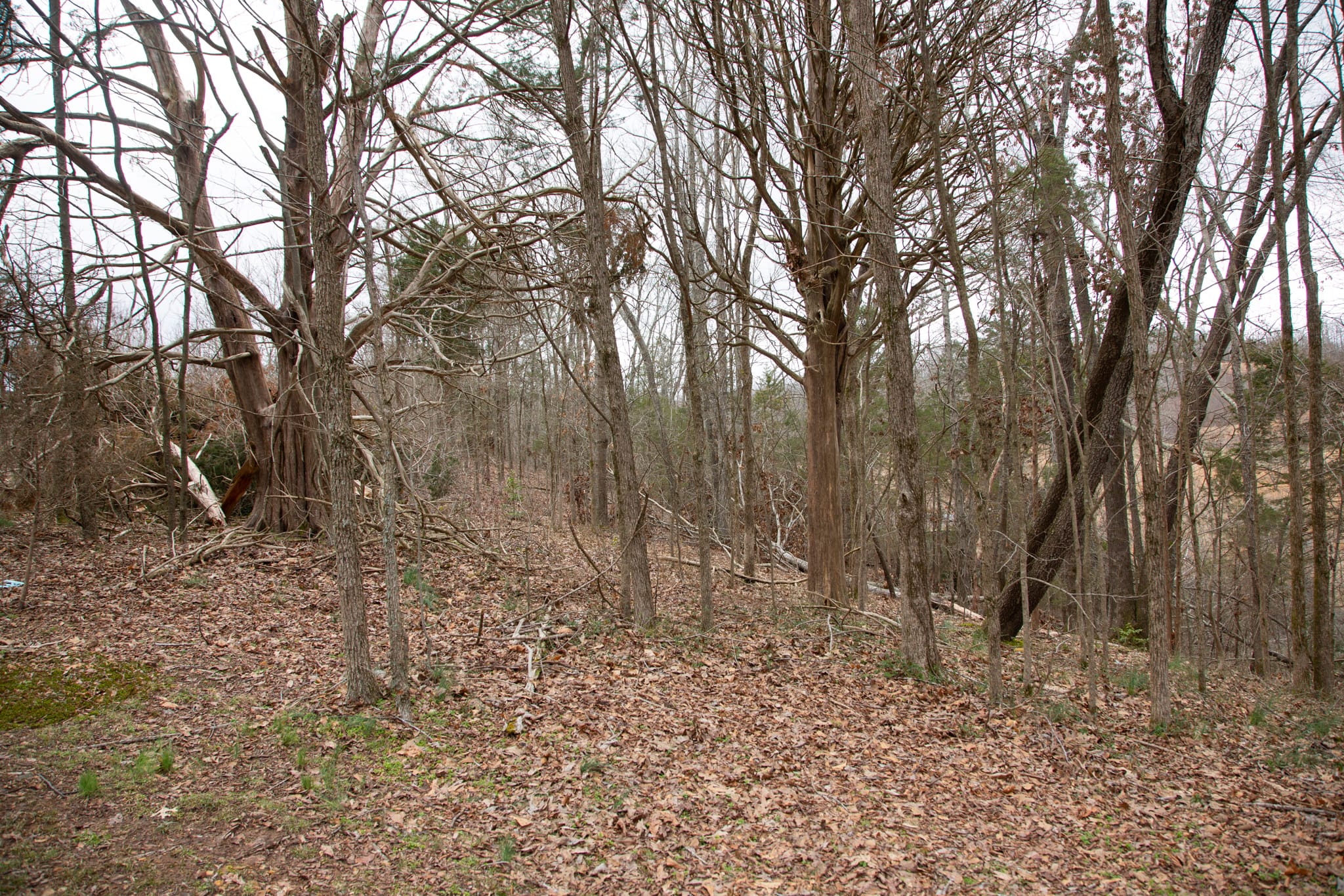 Southwind Ranch Tract 26 photo 11