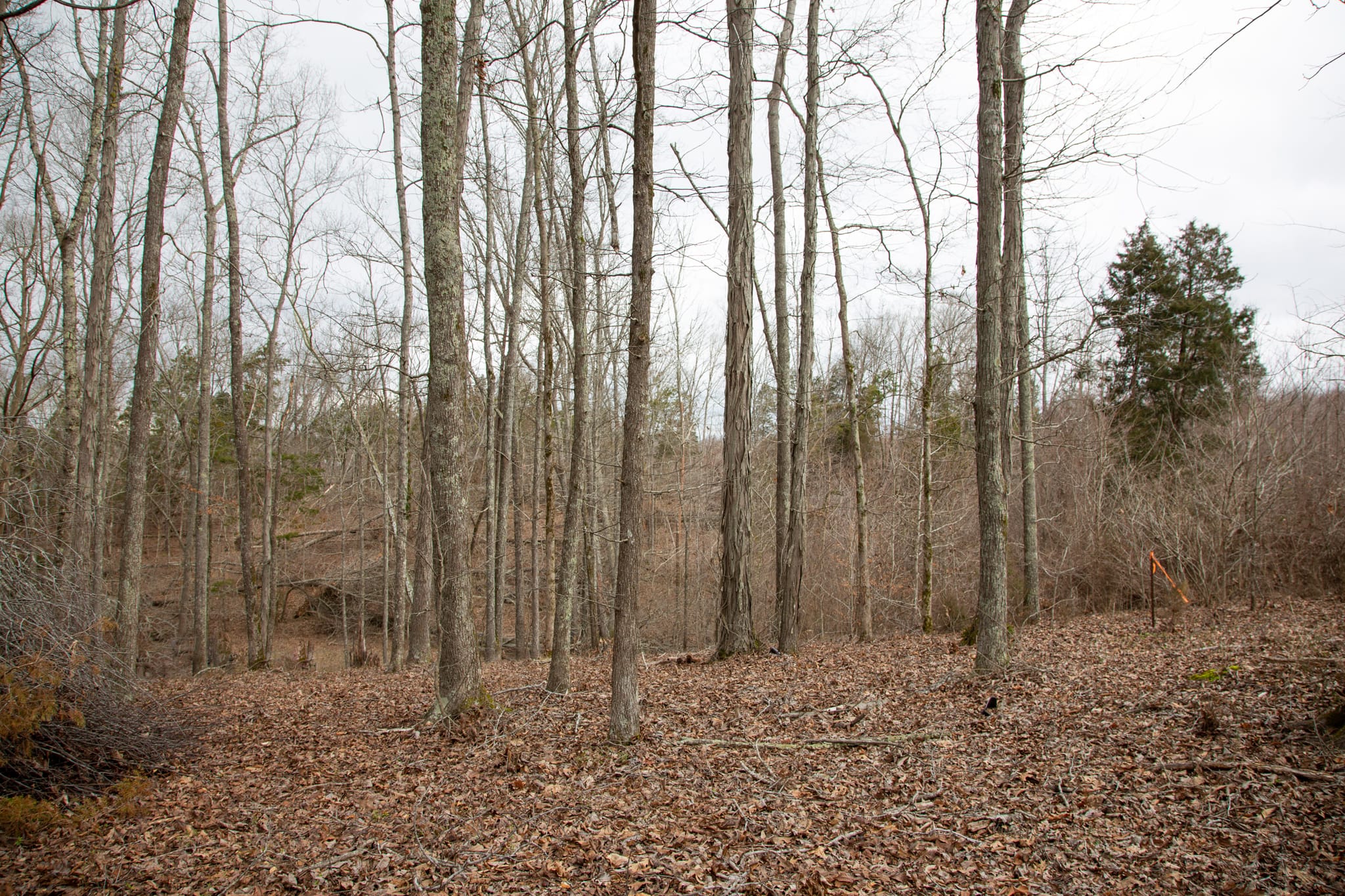 Southwind Ranch Tract 26 photo 1