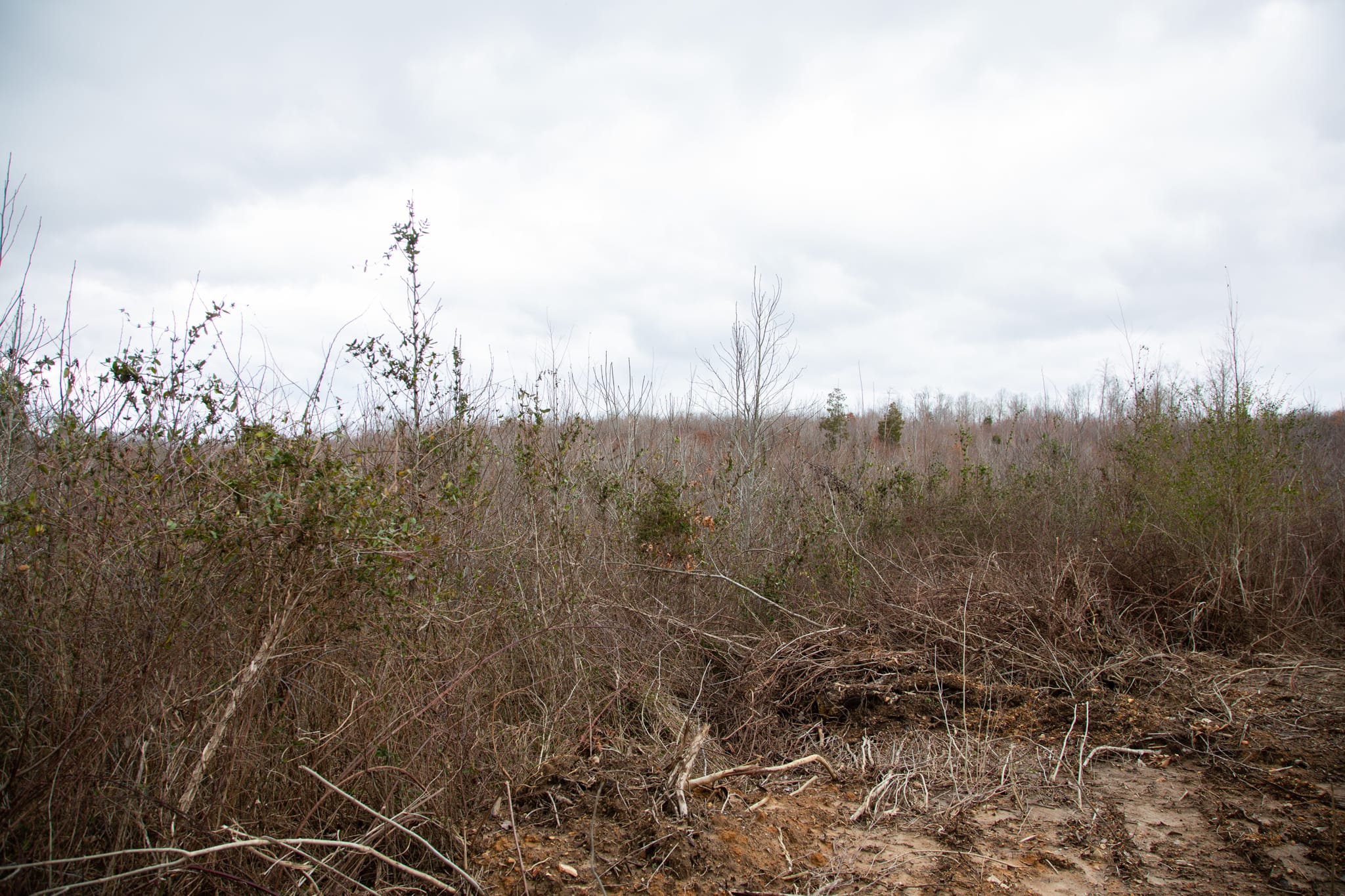 Southwind Ranch Tract 26 photo 17