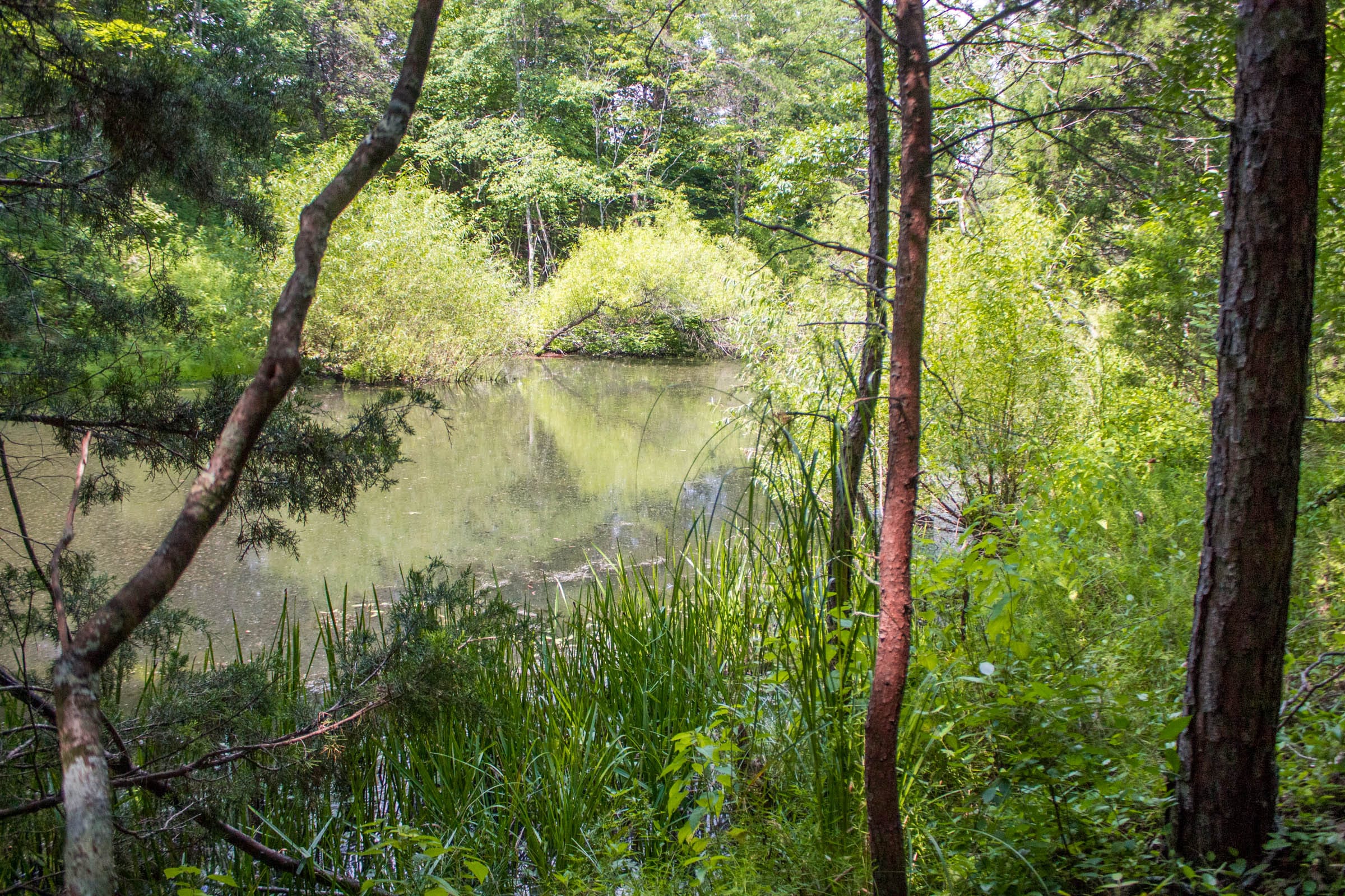 Bluewater Ridge Tract 6 photo 3