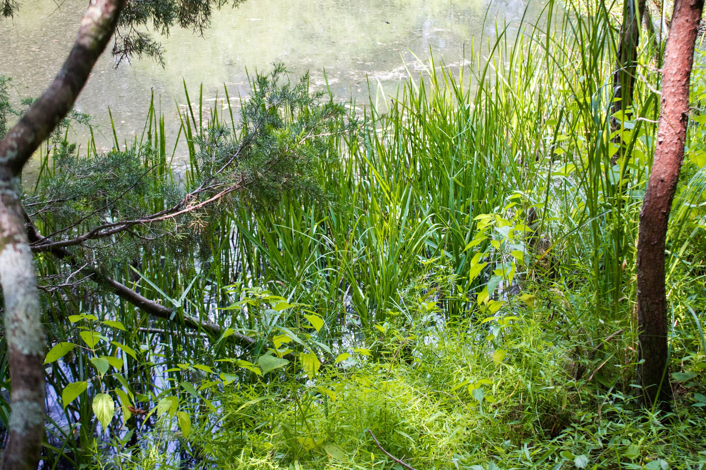 Bluewater Ridge Tract 6 photo 4