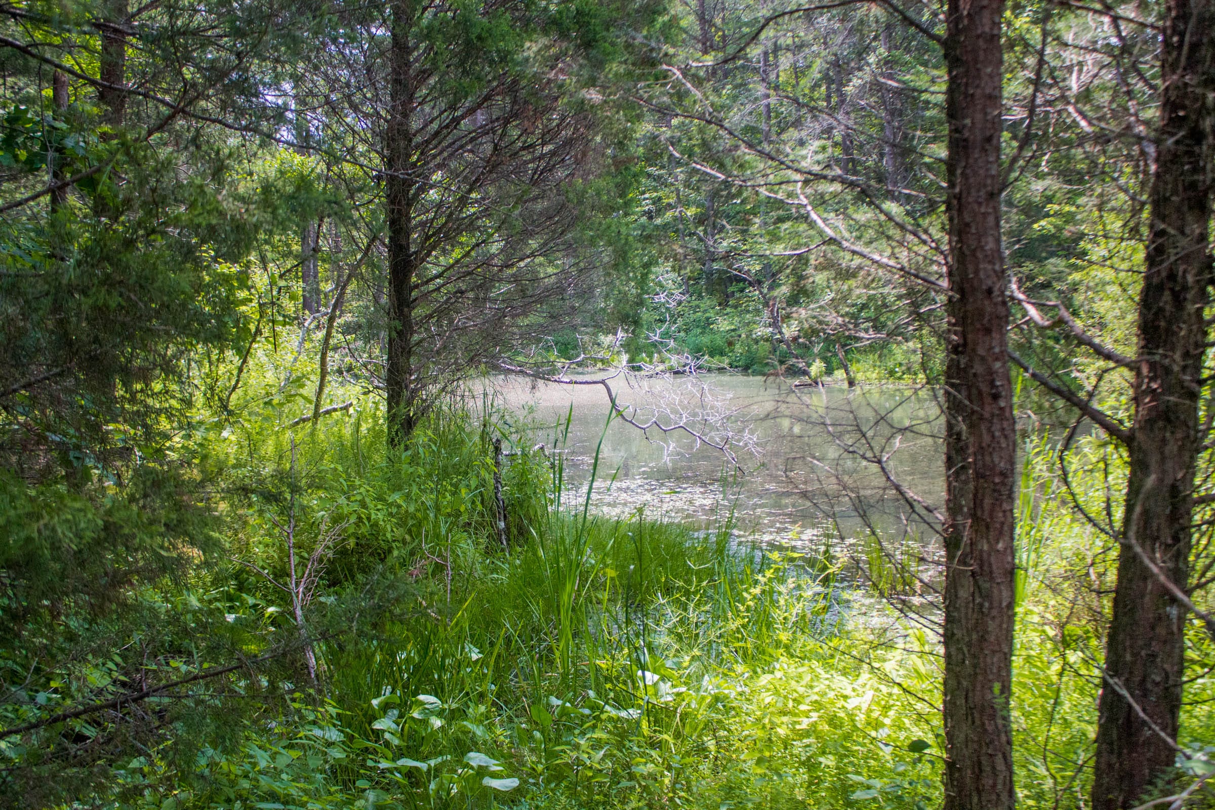 Bluewater Ridge Tract 6 photo 2