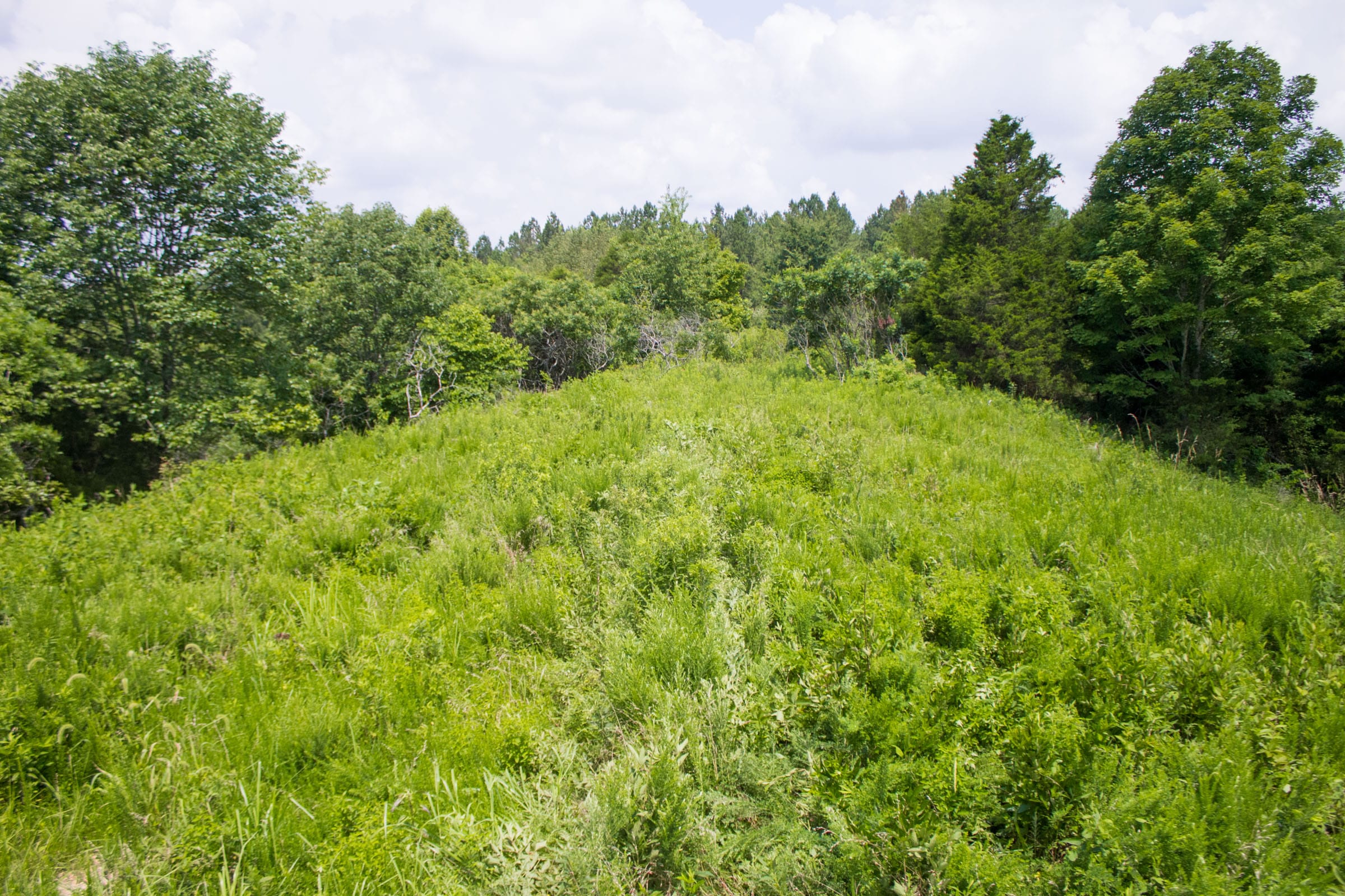 Bluewater Ridge Tract 6 photo 7
