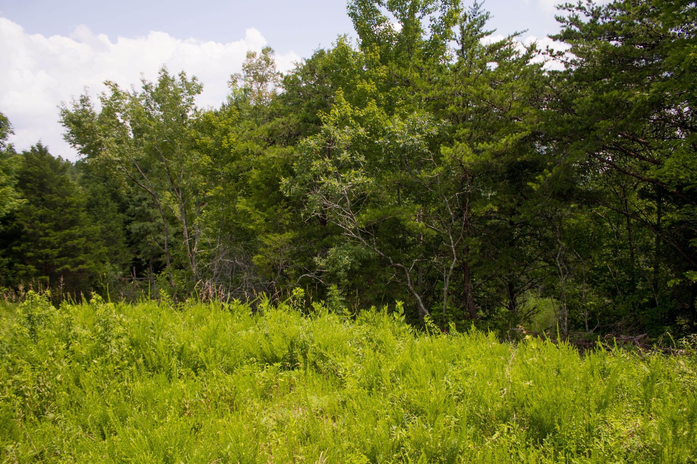 Bluewater Ridge Tract 6 photo 8