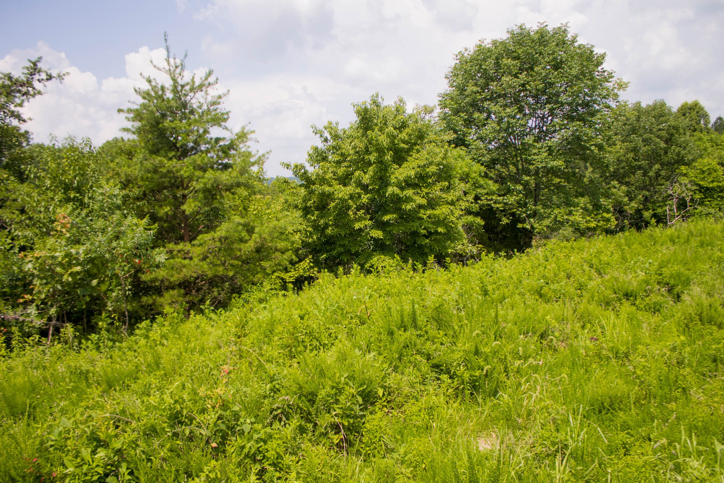 Bluewater Ridge Tract 6 photo 9
