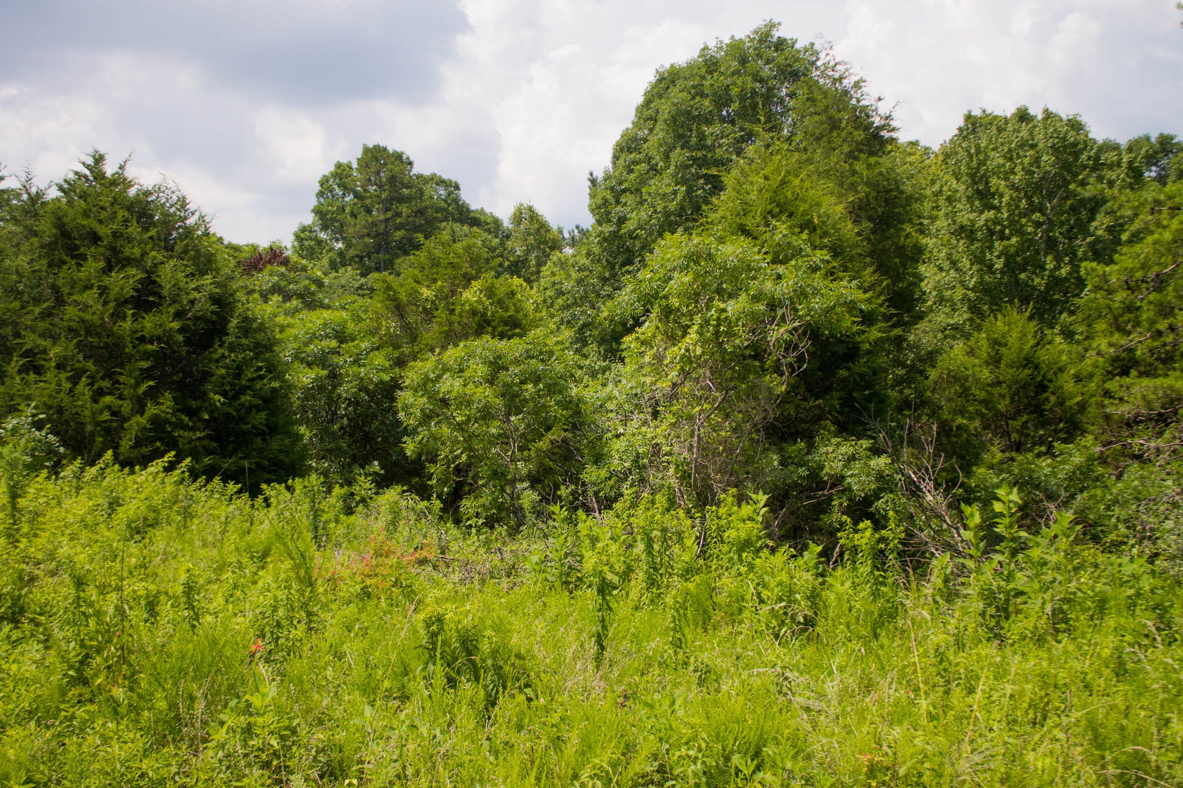 Bluewater Ridge Tract 6 photo 10